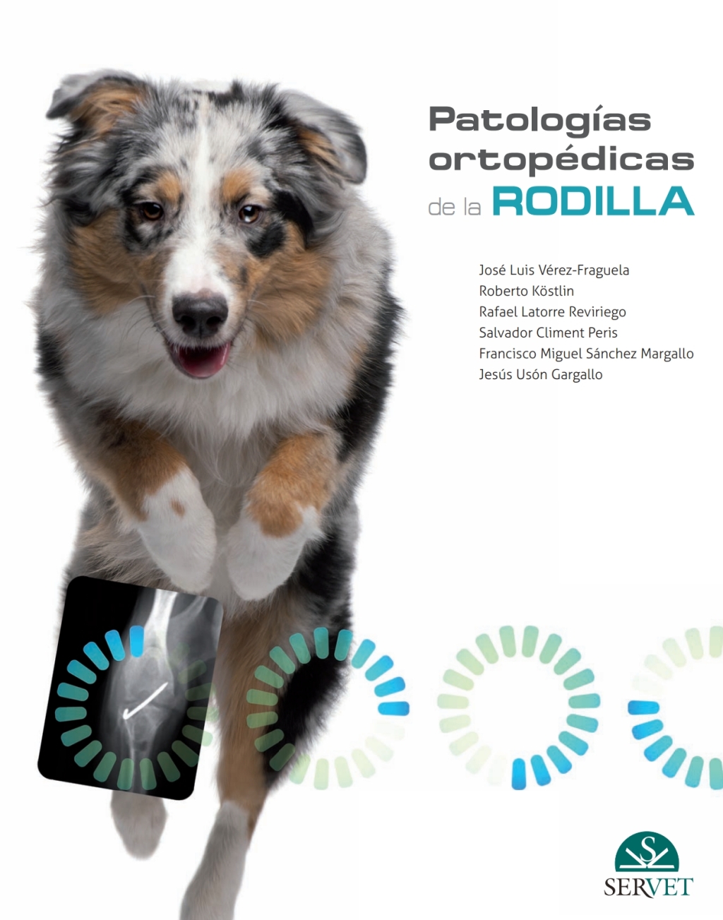 PatologÃ­as ortopÃ©dicas de la rodilla 1st Edition â€“ PDF/EPUB Version Downloadable