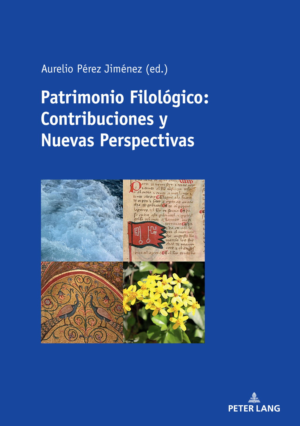 Patrimonio FilolÃ³gico: Contribuciones y Nuevas Perspectivas 1st Edition â€“ PDF/EPUB Version Downloadable