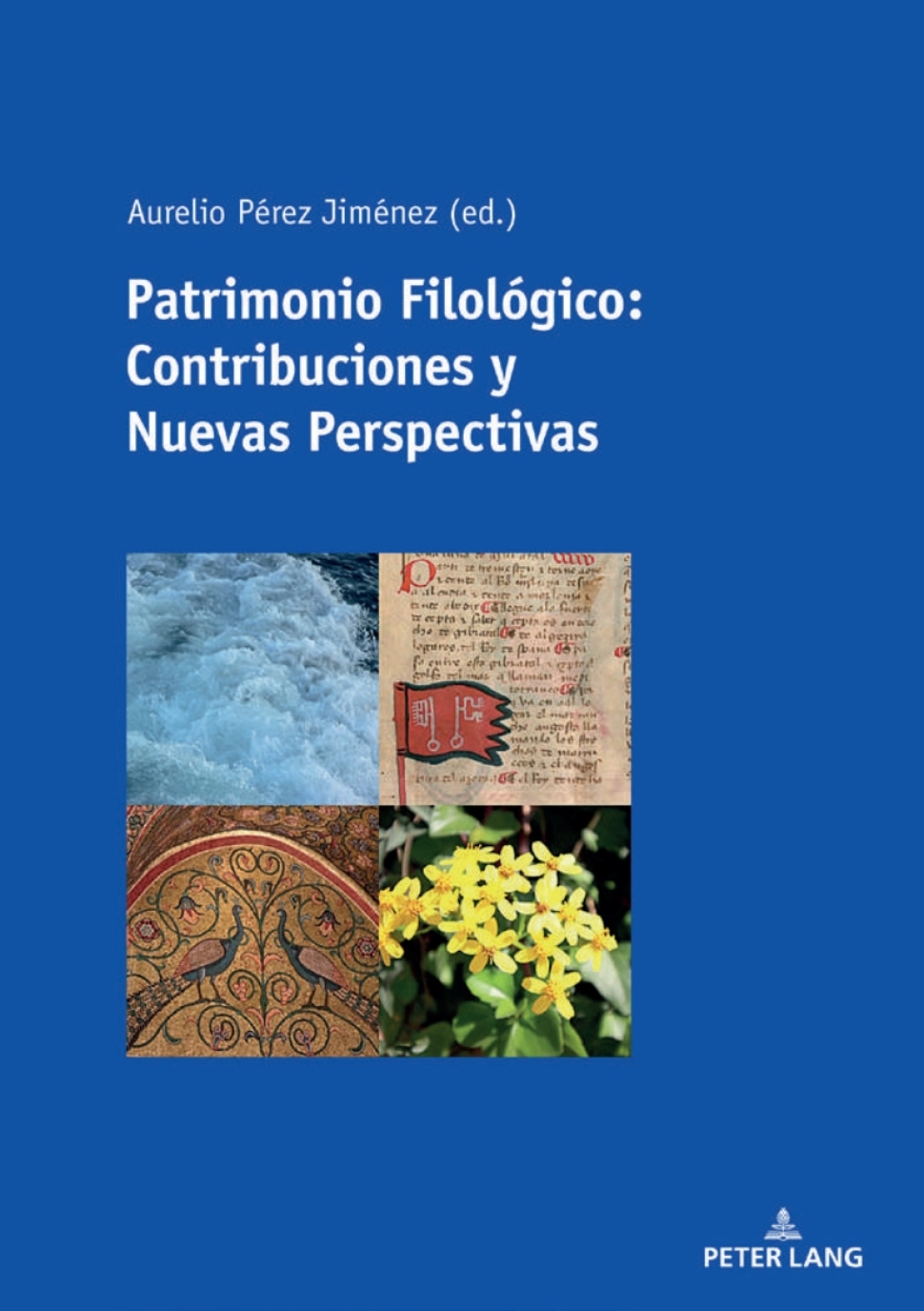 Patrimonio Filológico: Contribuciones y Nuevas Perspectivas 1st Edition – PDF/EPUB Version Downloadable