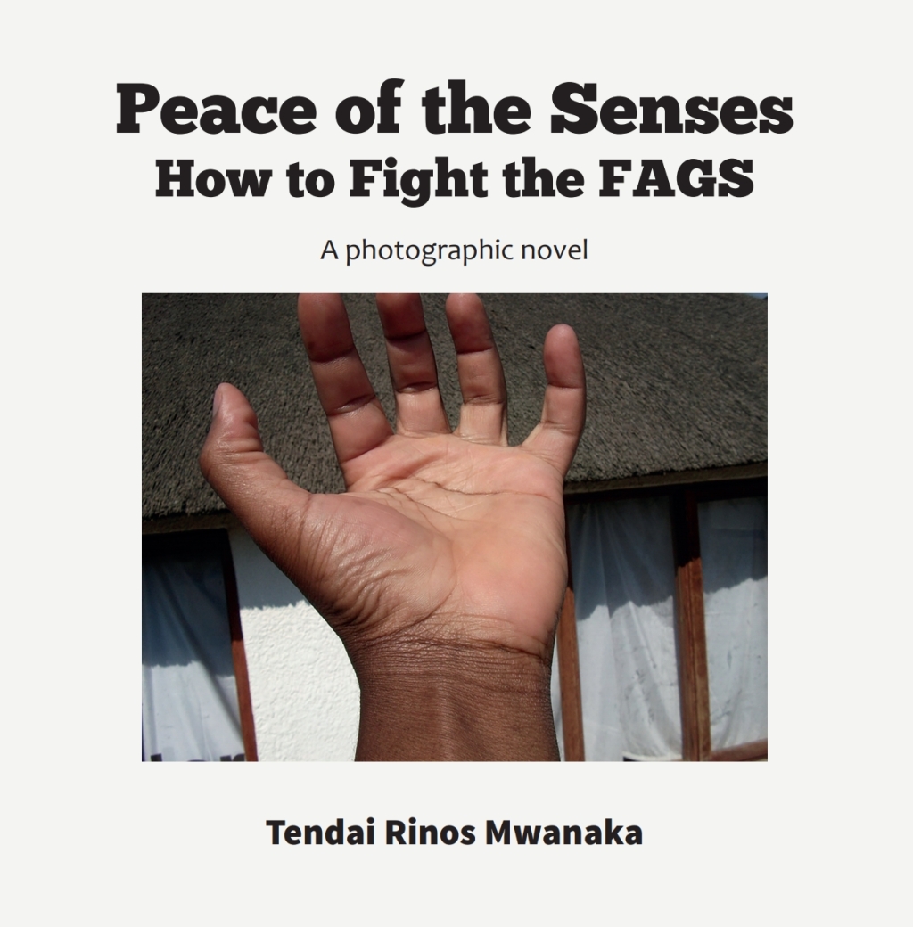 Peace of the Senses How to Fight the FAGS 1st Edition â€“ PDF/EPUB Version Downloadable