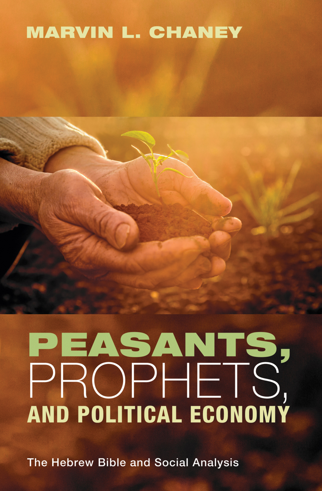 Peasants, Prophets, and Political Economy The Hebrew Bible and Social Analysis  â€“ PDF/EPUB Version Downloadable