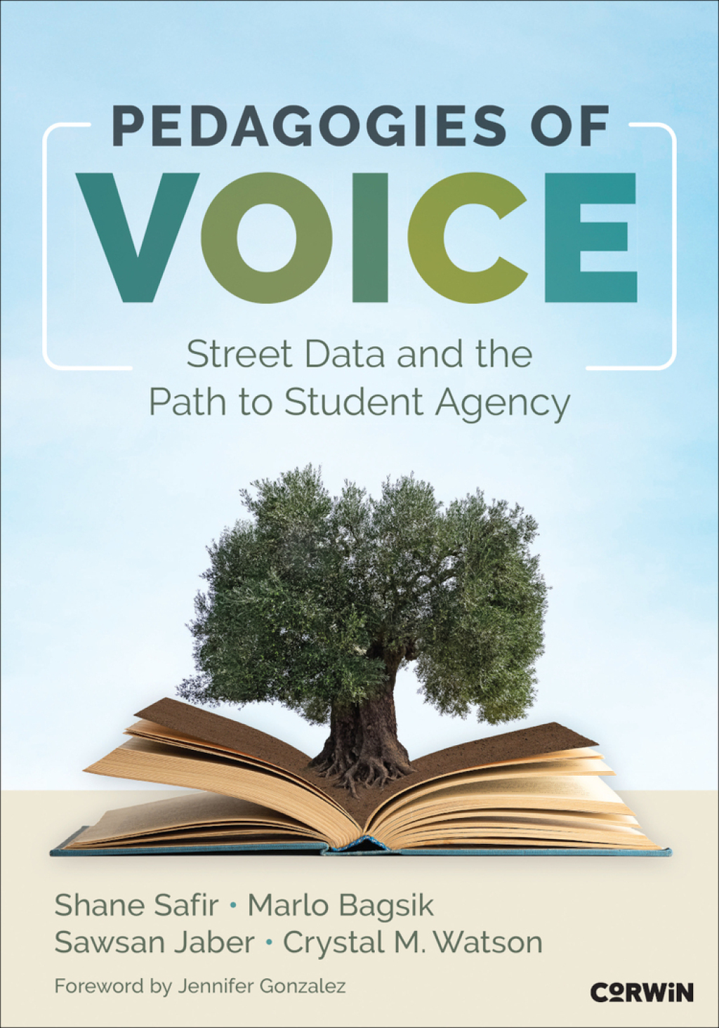 Pedagogies of Voice Street Data and the Path to Student Agency 1st Edition â€“ PDF/EPUB Version Downloadable