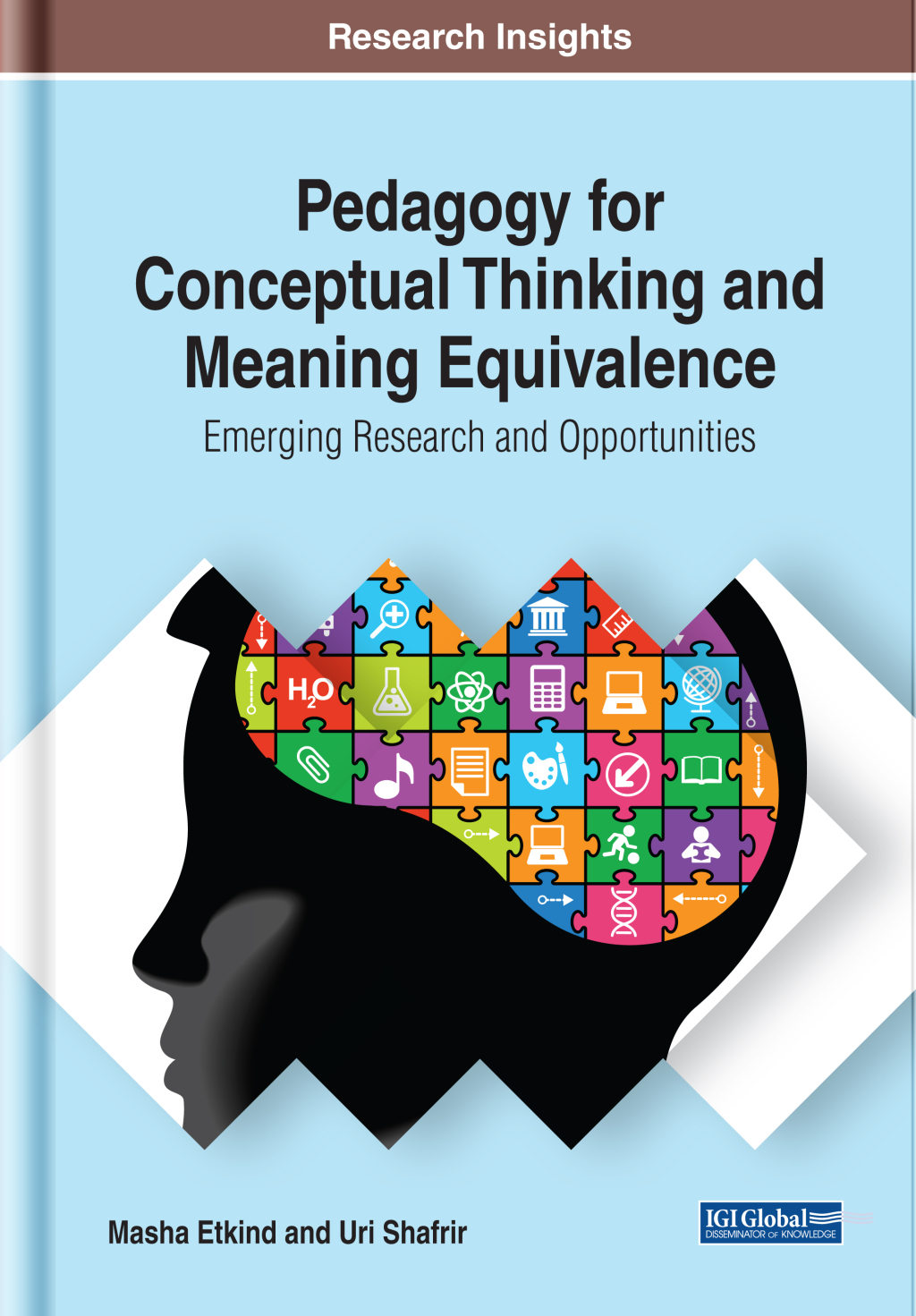 Pedagogy for Conceptual Thinking and Meaning Equivalence: Emerging Research and Opportunities  â€“ PDF/EPUB Version Downloadable