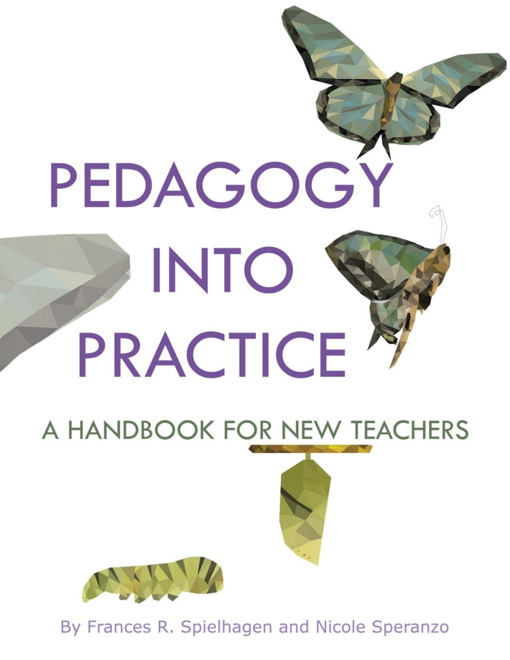 Pedagogy into Practice: A Handbook for New Teachers  â€“ PDF/EPUB Version Downloadable