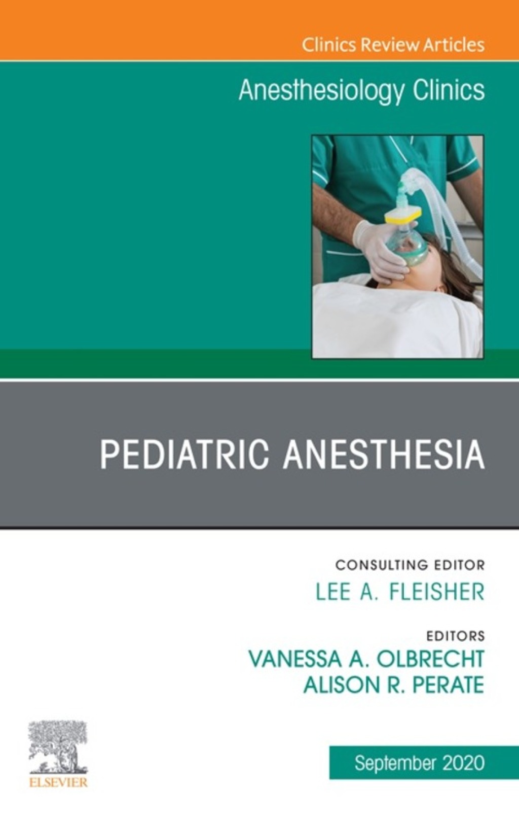 Pediatric Anesthesia, An Issue of Anesthesiology Clinics 1st Edition â€“ PDF/EPUB Version Downloadable