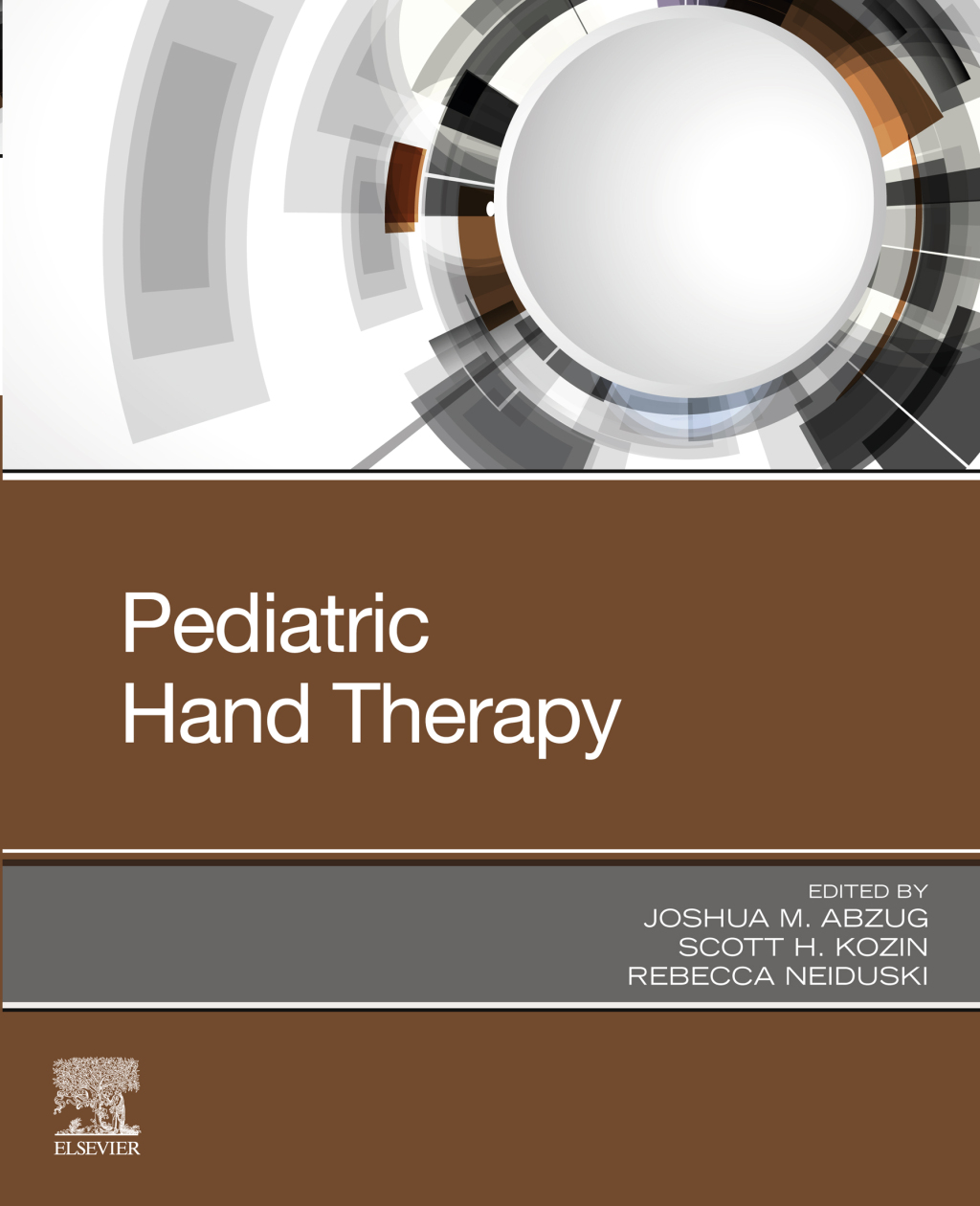Pediatric Hand Therapy  â€“ PDF/EPUB Version Downloadable