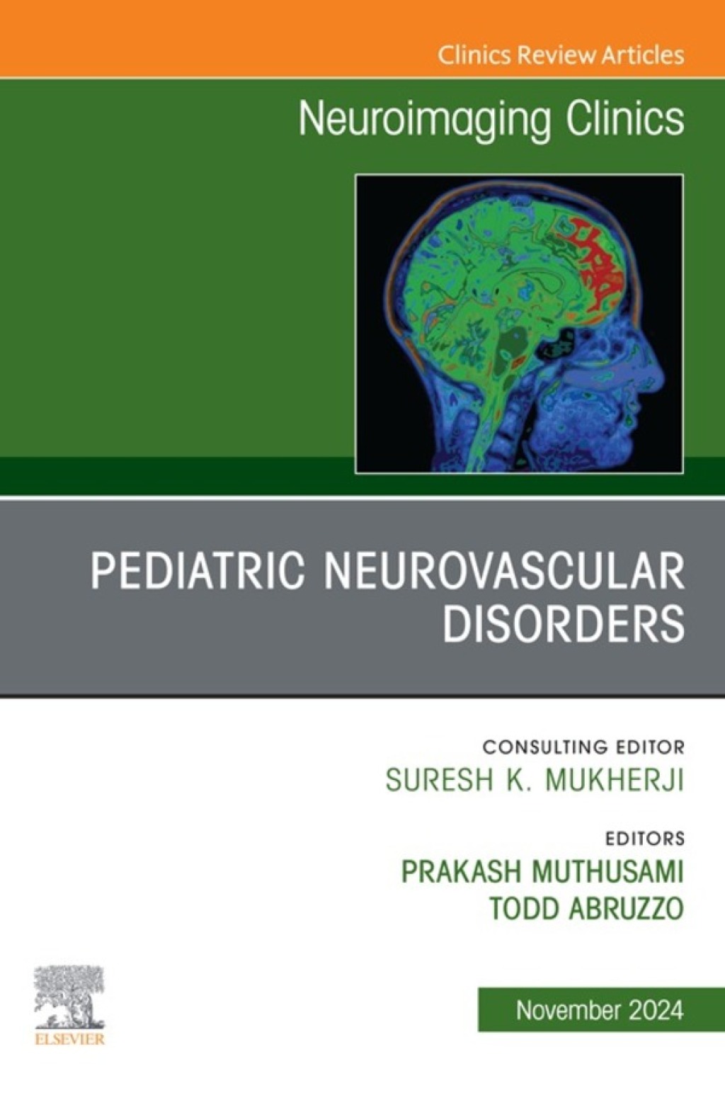 Pediatric Neurovascular Disorders, An Issue of Neuroimaging Clinics of North America  â€“ PDF/EPUB Version Downloadable