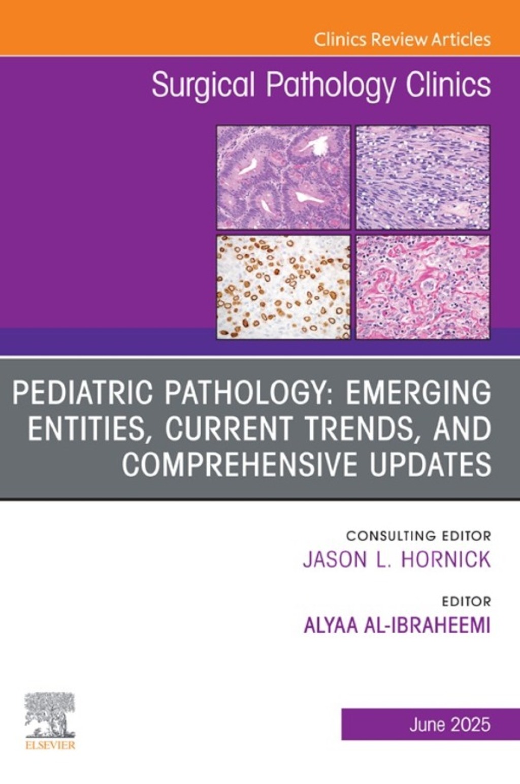 Pediatric Pathology: Emerging entities, Current Trends, and Comprehensive Updates, An Issue of Surgical Pathology Clinics  â€“ PDF/EPUB Version Downloadable