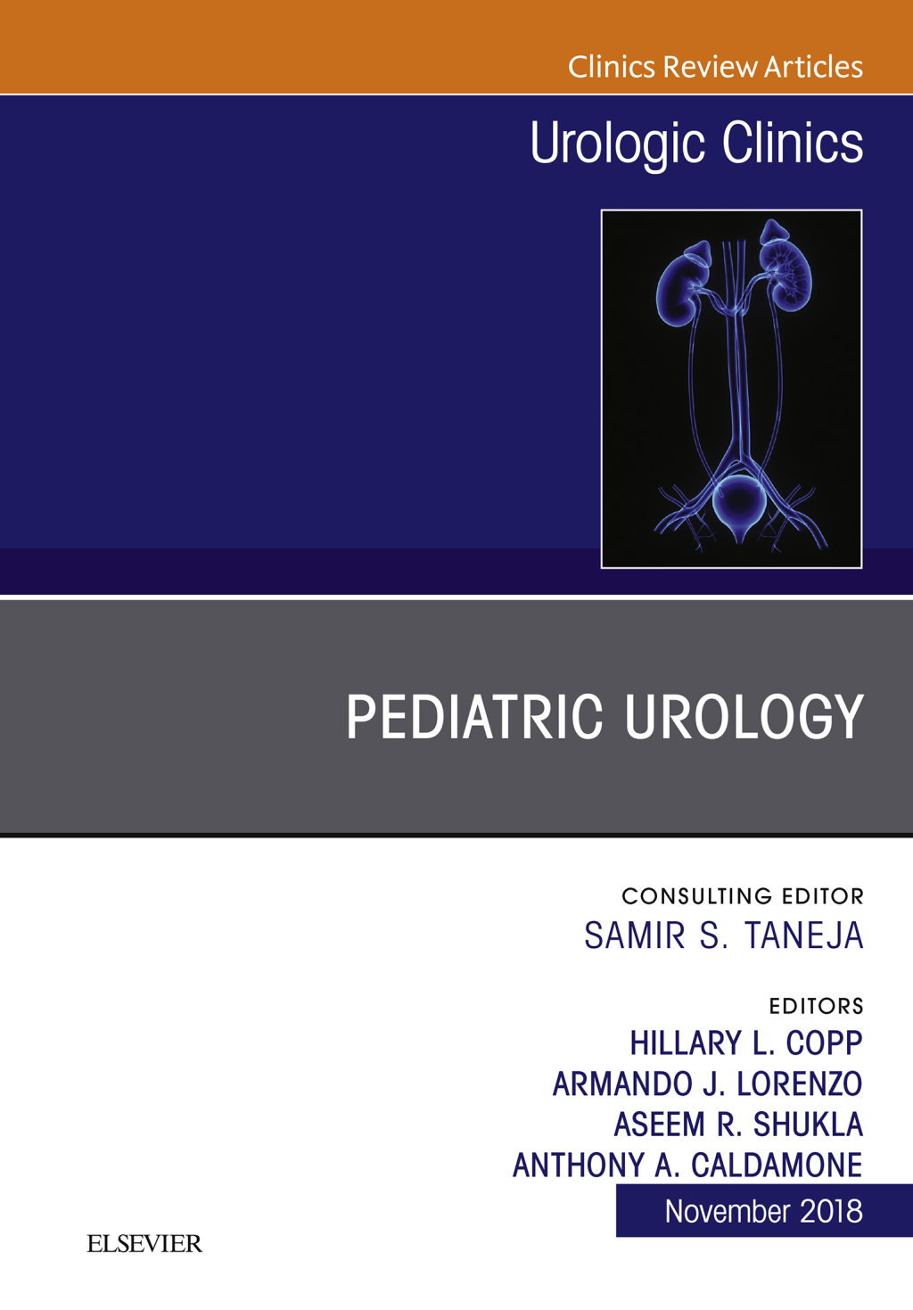 Pediatric Urology, An Issue of Urologic Clinics  â€“ PDF/EPUB Version Downloadable