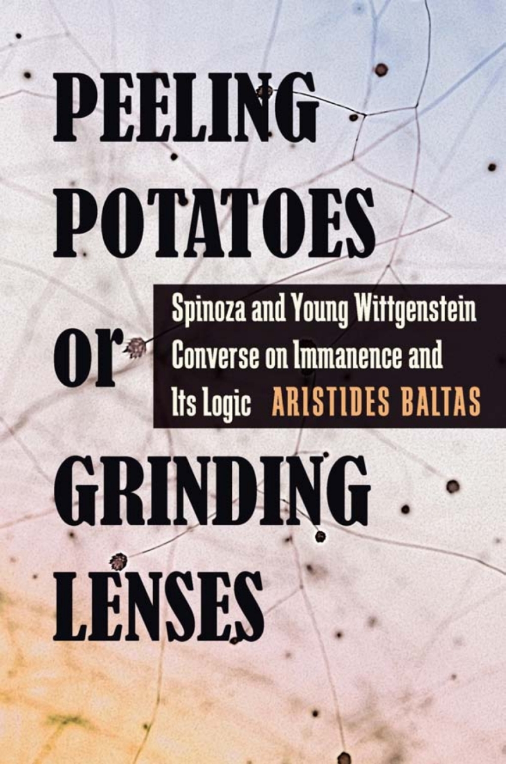 Peeling Potatoes or Grinding Lenses Spinoza and Young Wittgenstein Converse on Immanence and Its Logic  â€“ PDF/EPUB Version Downloadable