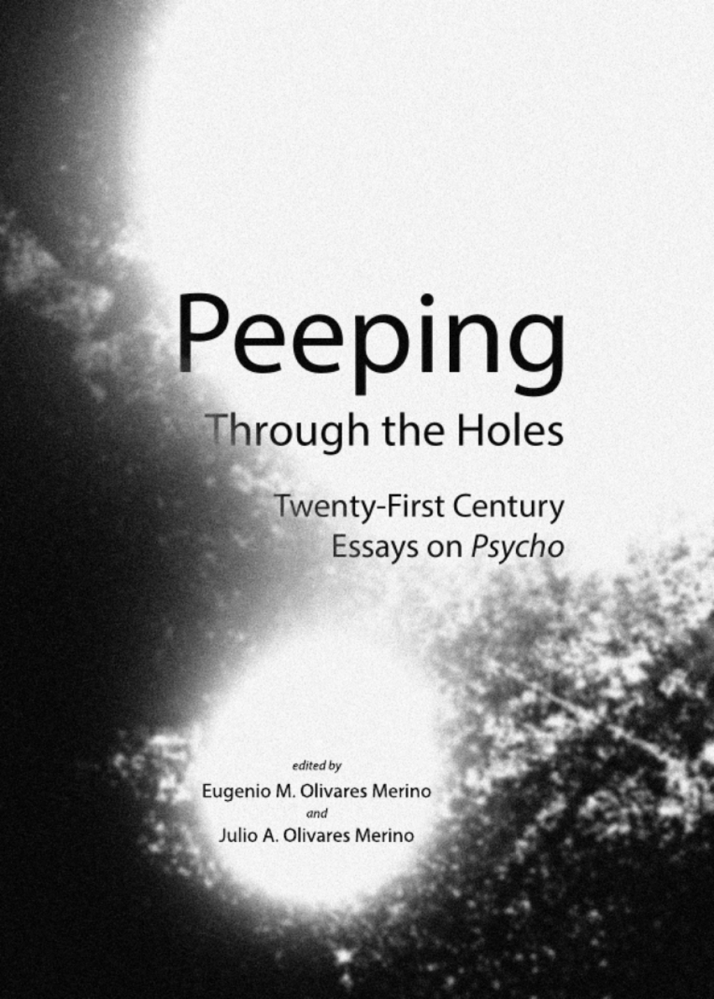 Peeping Through the Holes Twenty-First Century Essays on Psycho 1st Edition â€“ PDF/EPUB Version Downloadable