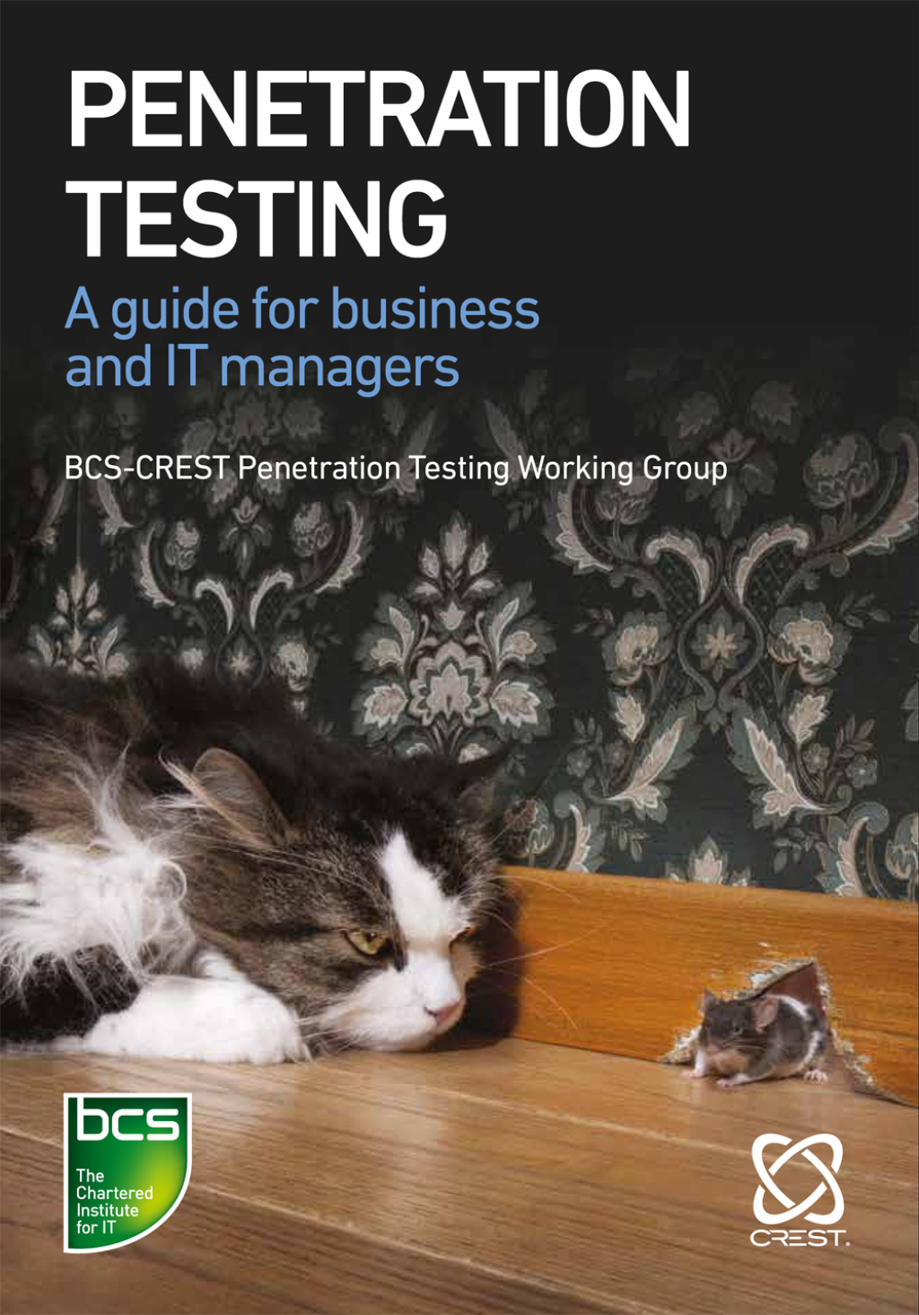 Penetration Testing A guide for business and IT managers 1st Edition â€“ PDF/EPUB Version Downloadable