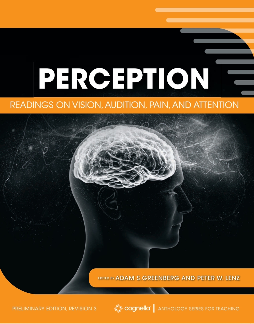 Perception 1st Edition â€“ PDF/EPUB Version Downloadable