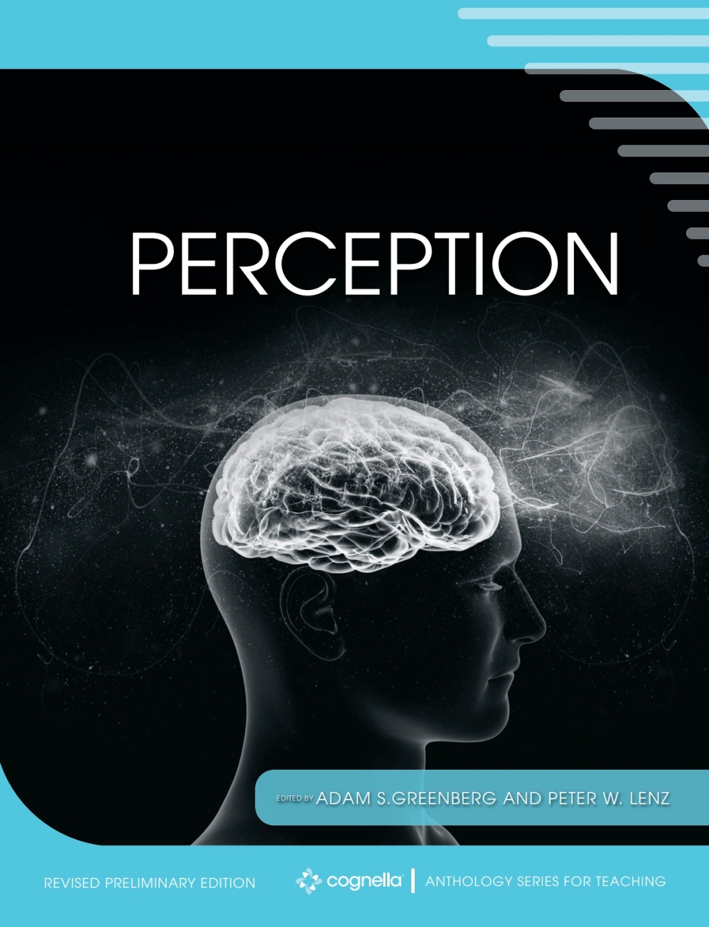Perception 1st Edition â€“ PDF/EPUB Version Downloadable