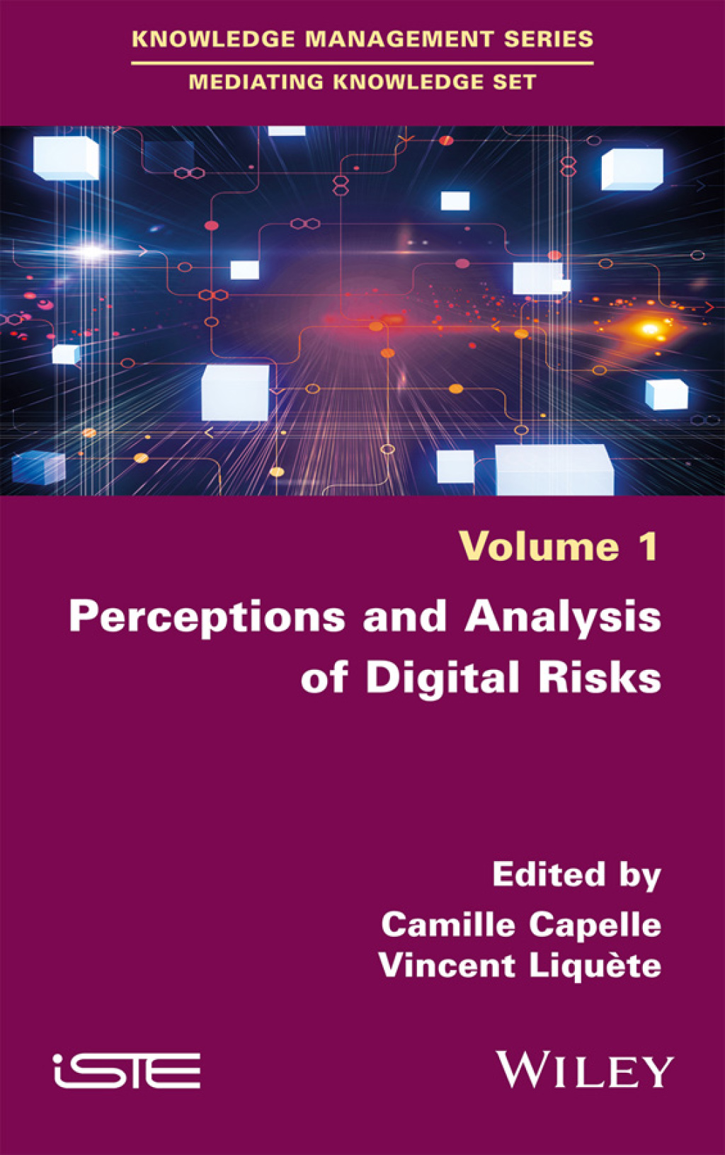 Perceptions and Analysis of Digital Risks 1st Edition â€“ PDF/EPUB Version Downloadable