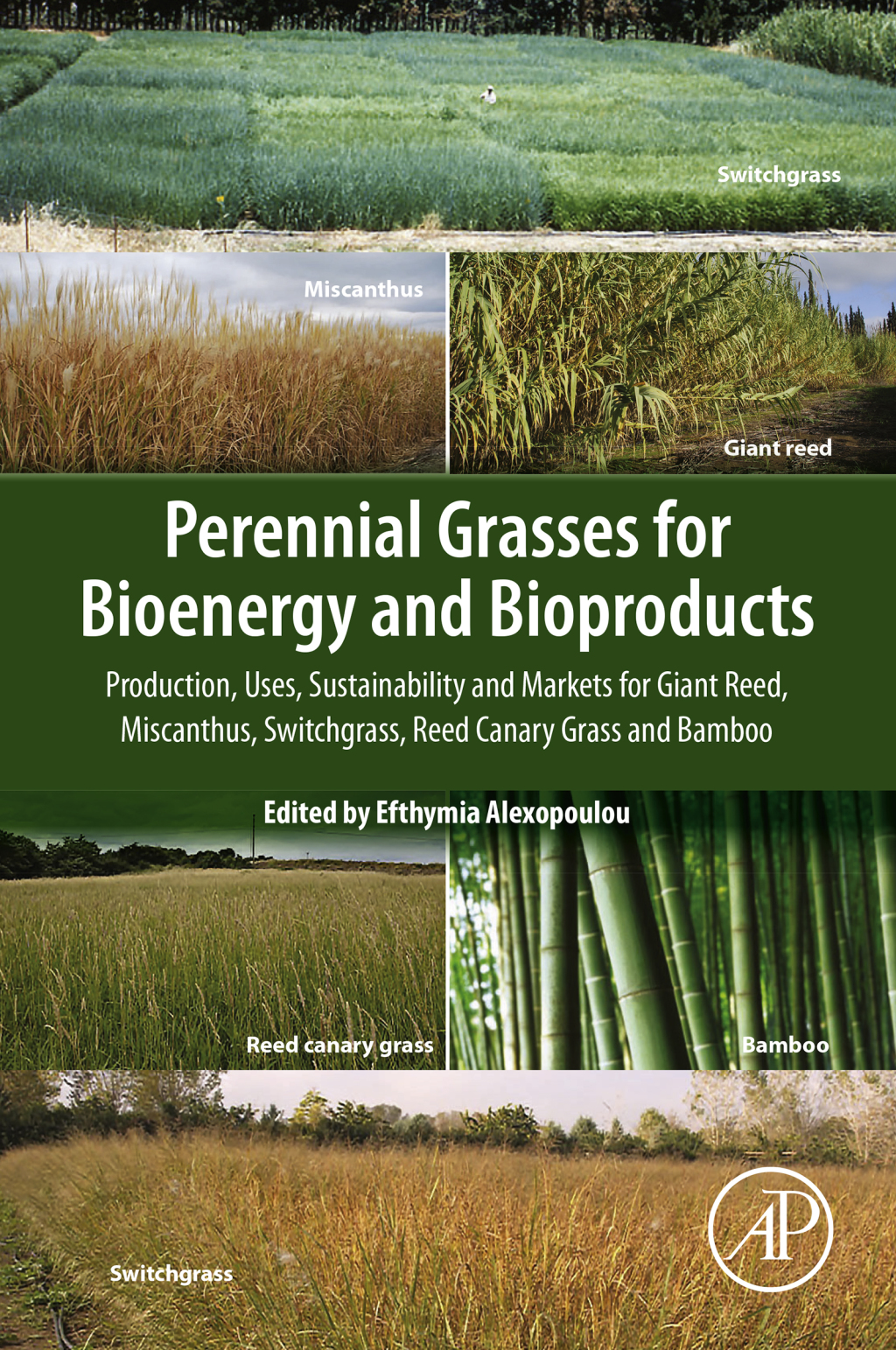 Perennial Grasses for Bioenergy and Bioproducts Production, Uses, Sustainability and Markets for Giant Reed, Miscanthus, Switchgrass, Reed Canary Grass and Bamboo  â€“ PDF/EPUB Version Downloadable