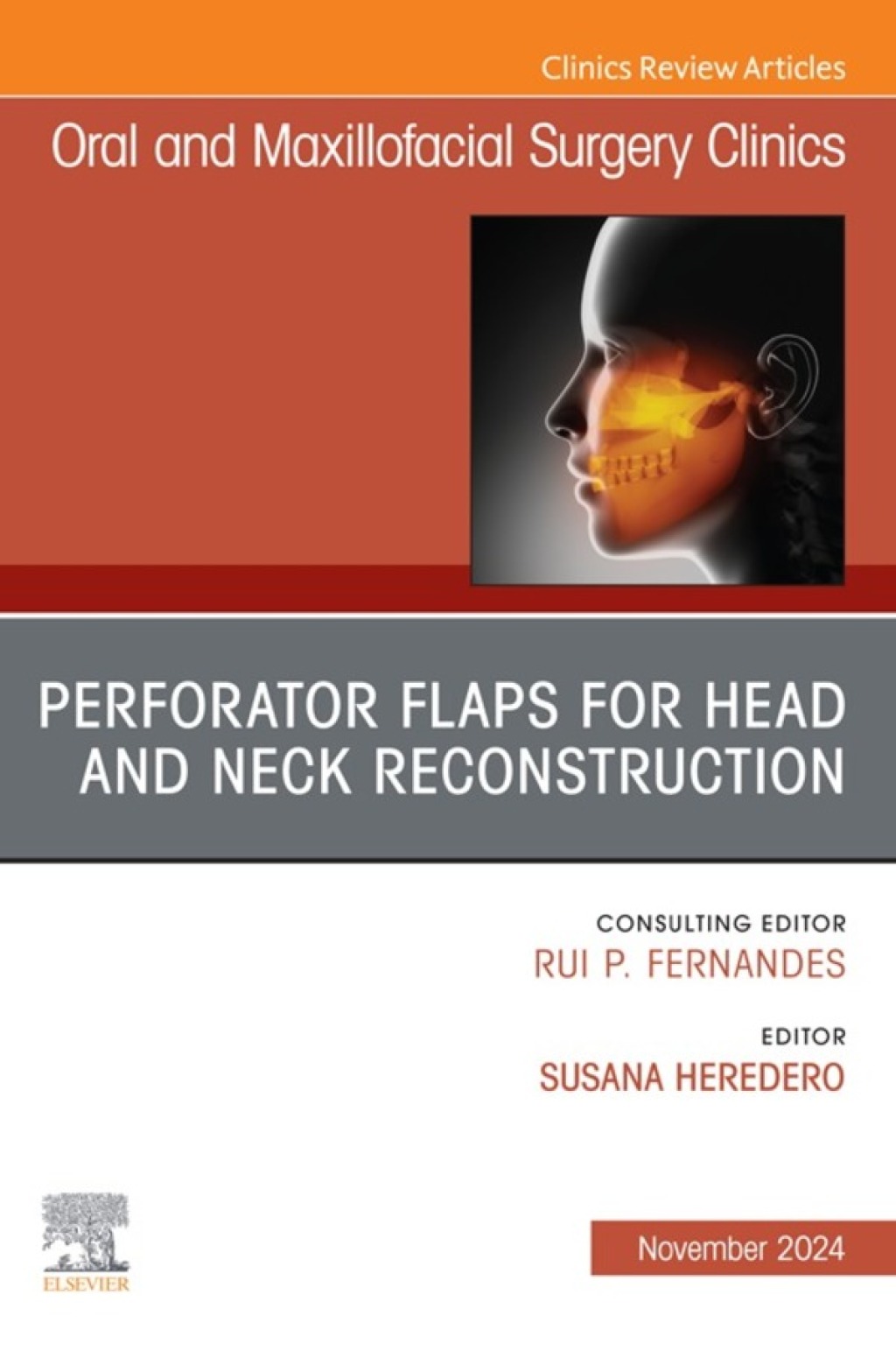 Perforator Flaps for Head and Neck Reconstruction, An Issue of Oral and Maxillofacial Surgery Clinics of North America 1st Edition â€“ PDF/EPUB Version Downloadable