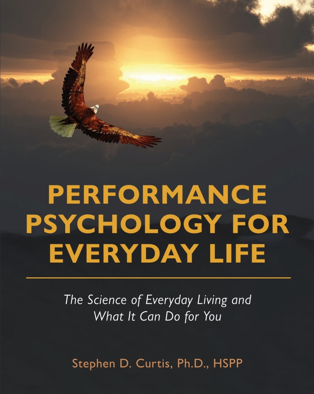 Performance Psychology for Everyday Life 1st Edition â€“ PDF/EPUB Version Downloadable