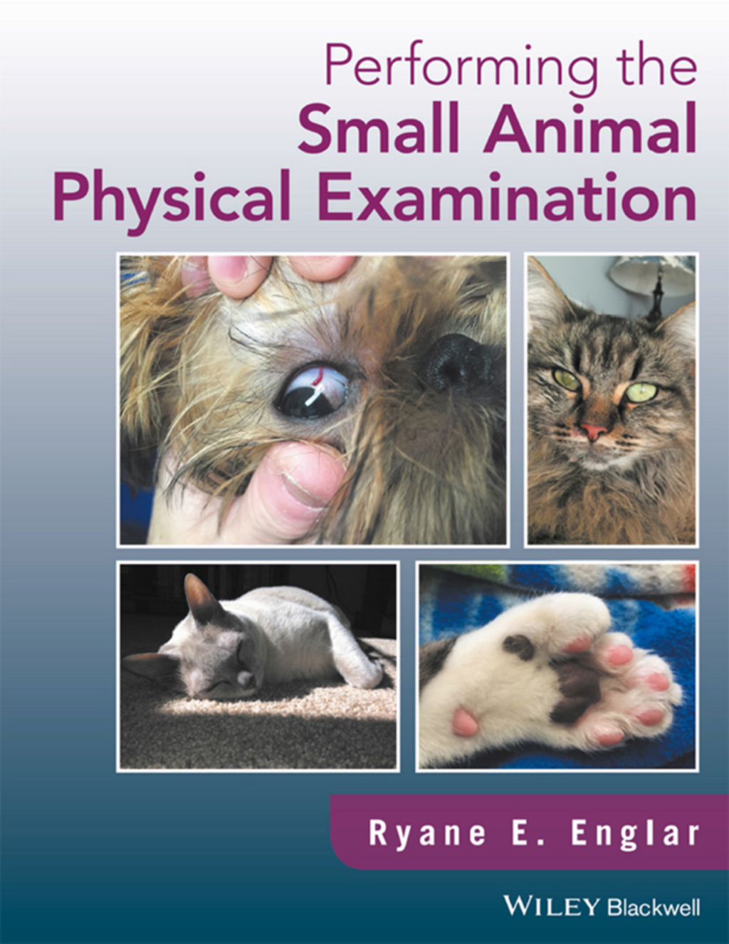 Performing the Small Animal Physical Examination 1st Edition â€“ PDF/EPUB Version Downloadable