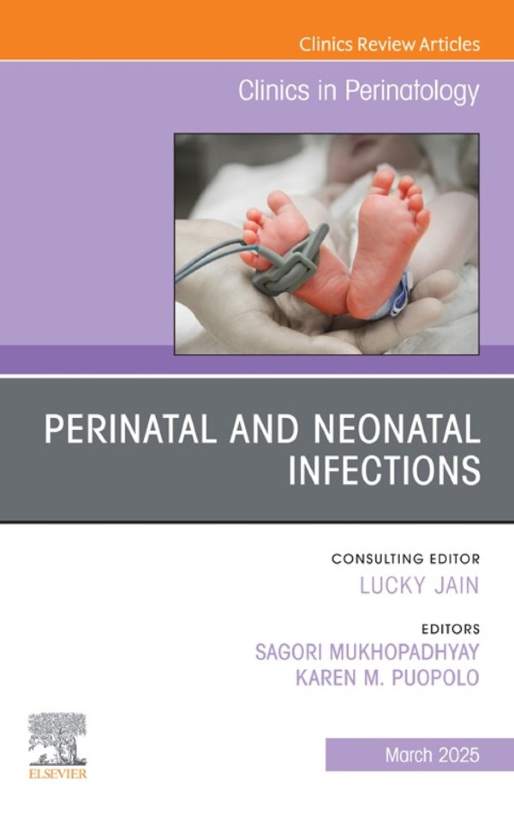 Perinatal and Neonatal Infections, An Issue of Clinics in Perinatology  â€“ PDF/EPUB Version Downloadable