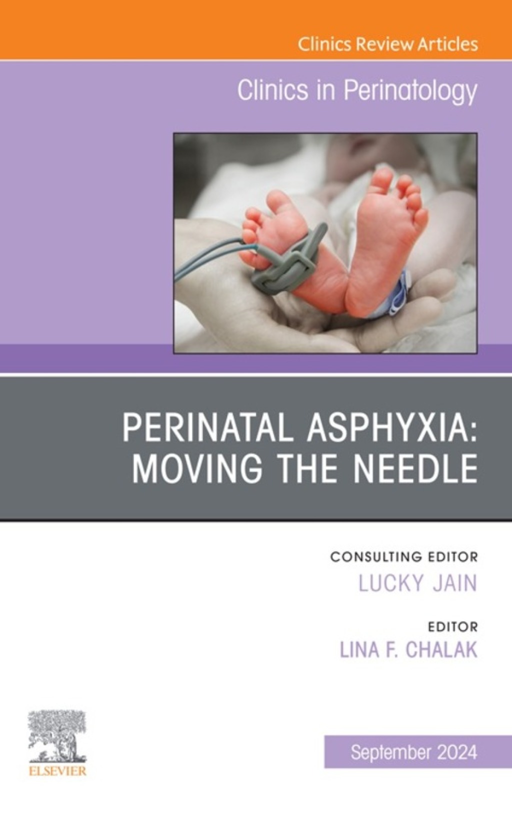 Perinatal Asphyxia: Moving the Needle, An Issue of Clinics in Perinatology 1st Edition â€“ PDF/EPUB Version Downloadable