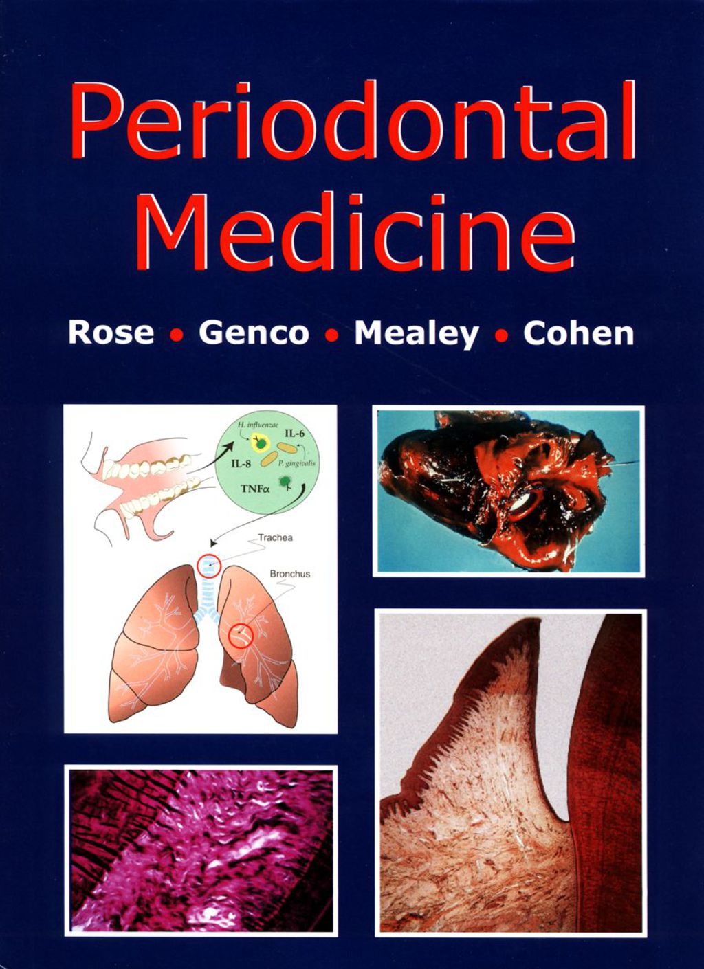 Periodontal Medicine 1st Edition â€“ PDF/EPUB Version Downloadable