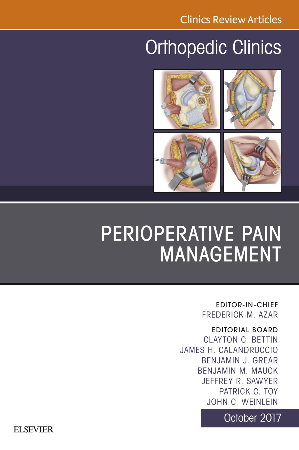 Perioperative Pain Management, An Issue of Orthopedic Clinics  â€“ PDF/EPUB Version Downloadable