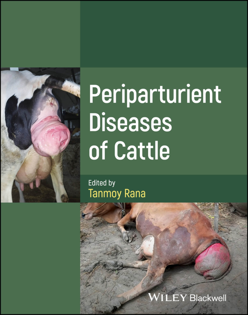 Periparturient Diseases of Cattle 1st Edition â€“ PDF/EPUB Version Downloadable