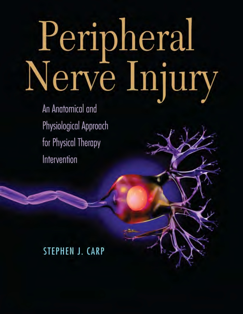 Peripheral Nerve Inury An Anatomical Physiology Approach for Physical Therapy Intervention 1st Edition â€“ PDF/EPUB Version Downloadable