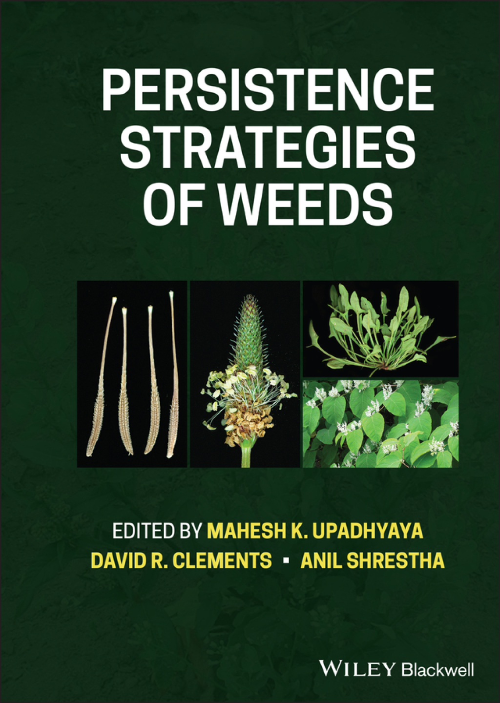 Persistence Strategies of Weeds 1st Edition â€“ PDF/EPUB Version Downloadable