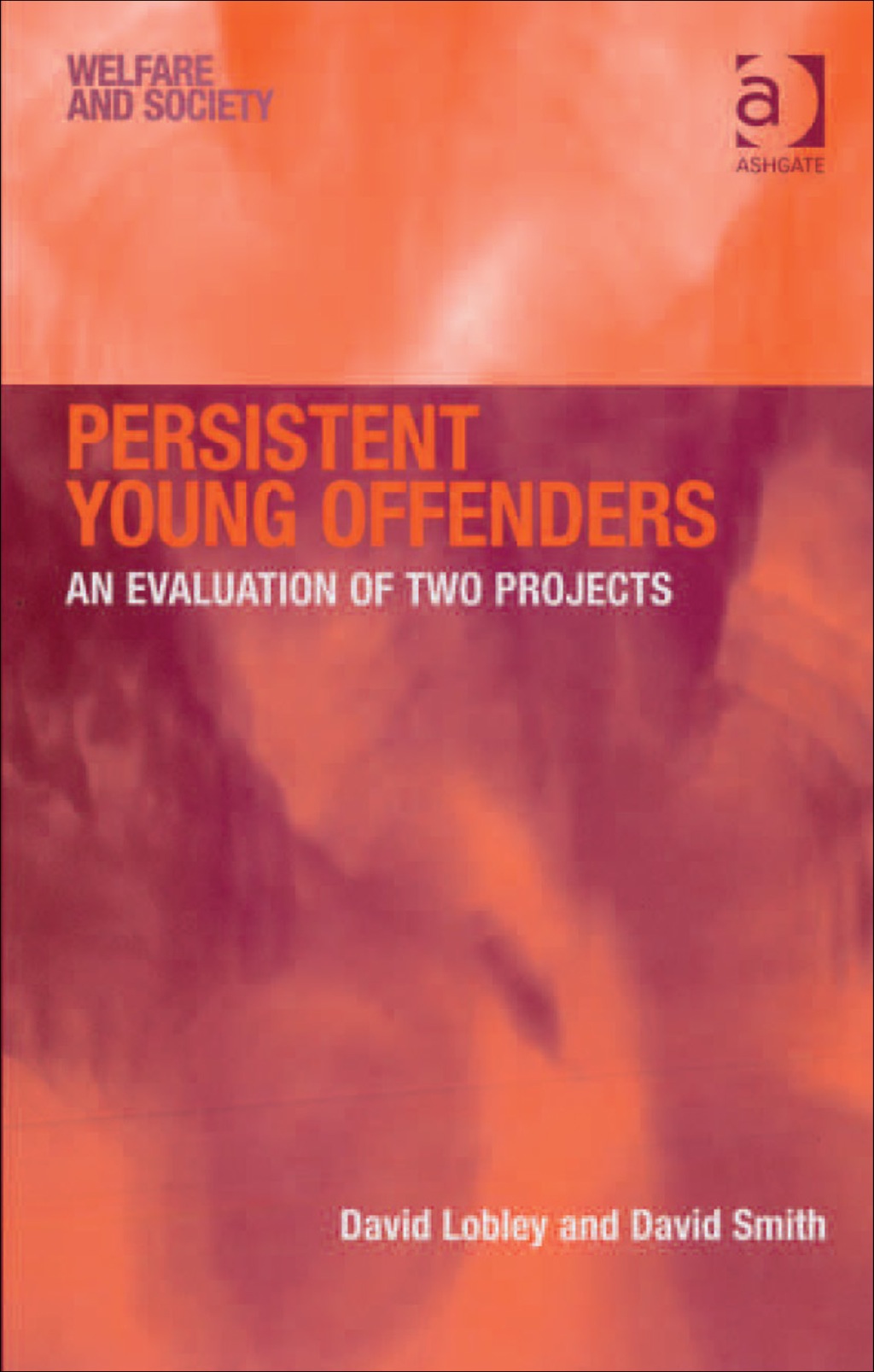 Persistent Young Offenders: An Evaluation of Two Projects  â€“ PDF/EPUB Version Downloadable