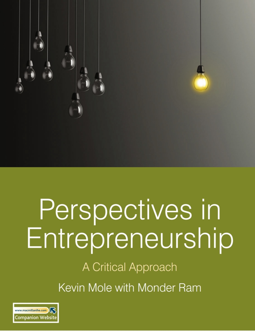 Perspectives in Entrepreneurship A Critical Approach 1st Edition â€“ PDF/EPUB Version Downloadable