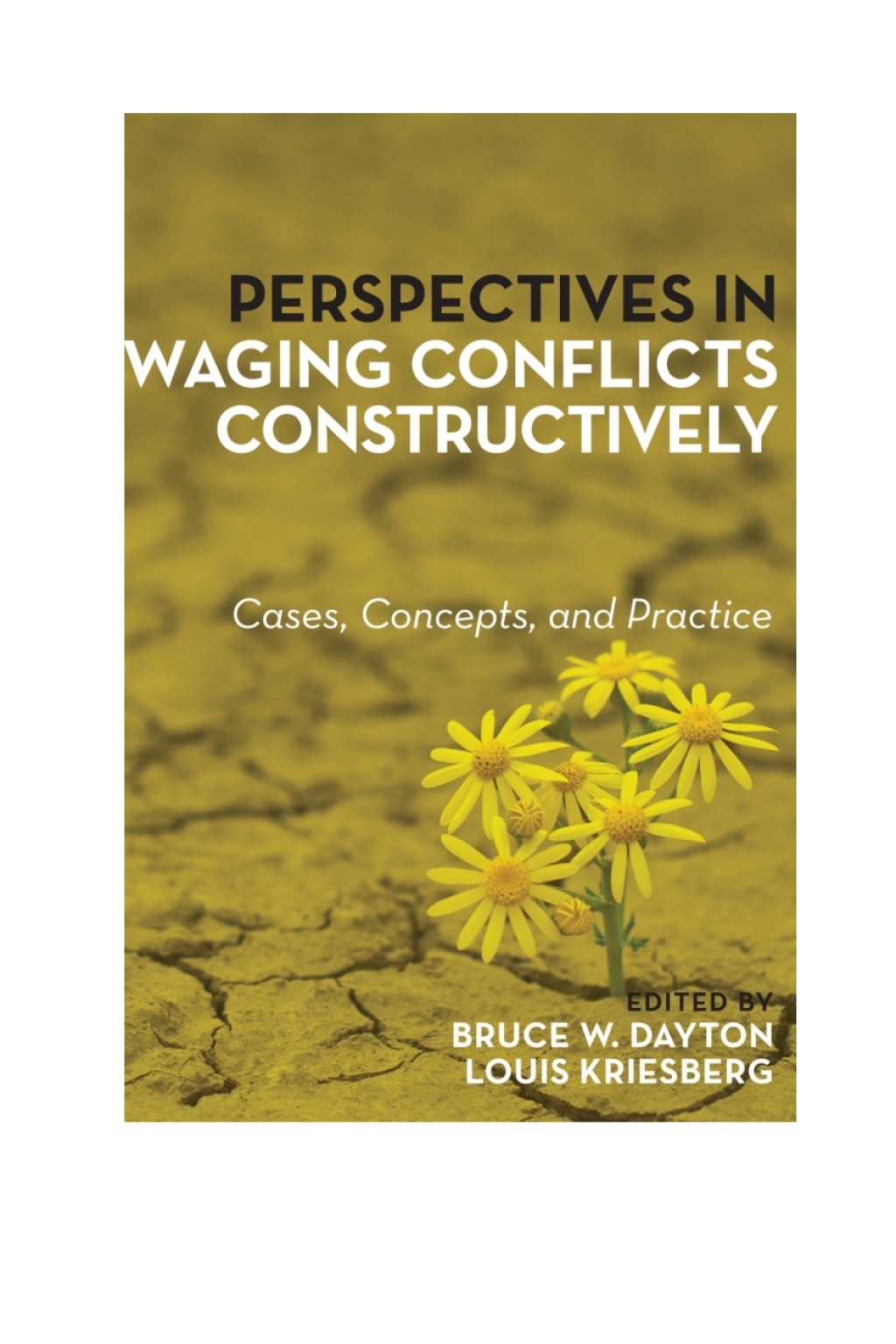 Perspectives in Waging Conflicts Constructively Cases, Concepts, and Practice 1st Edition â€“ PDF/EPUB Version Downloadable