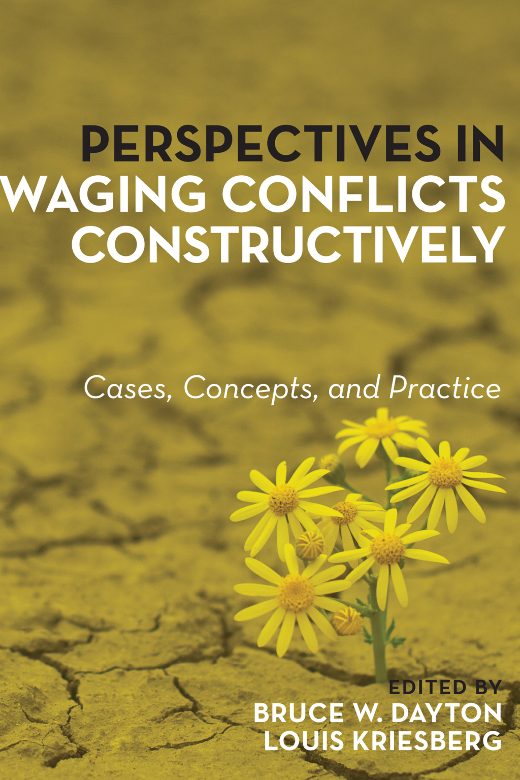 Perspectives in Waging Conflicts Constructively Cases, Concepts, and Practice 1st Edition â€“ PDF/EPUB Version Downloadable