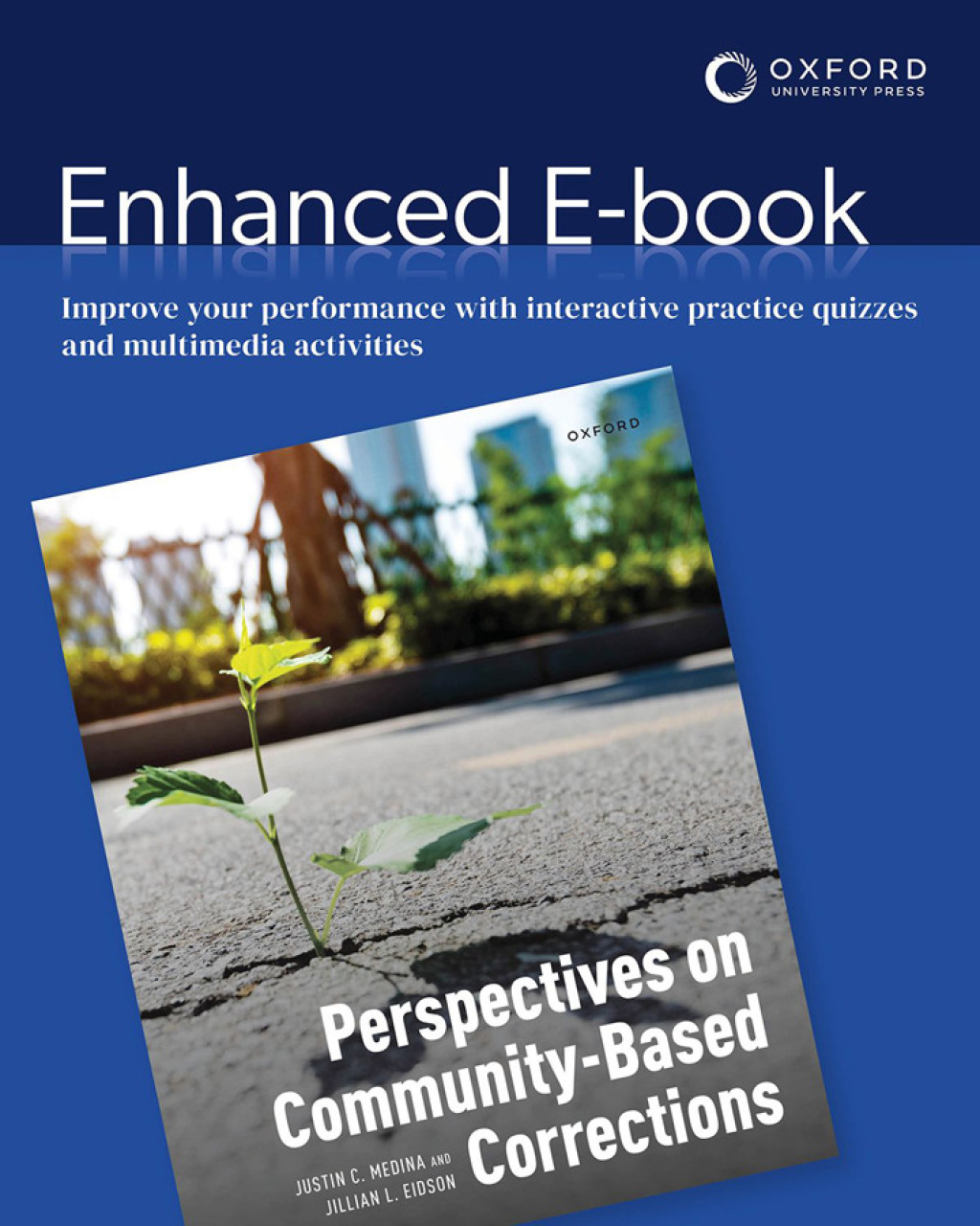 Perspectives on Community-Based Corrections  â€“ PDF/EPUB Version Downloadable
