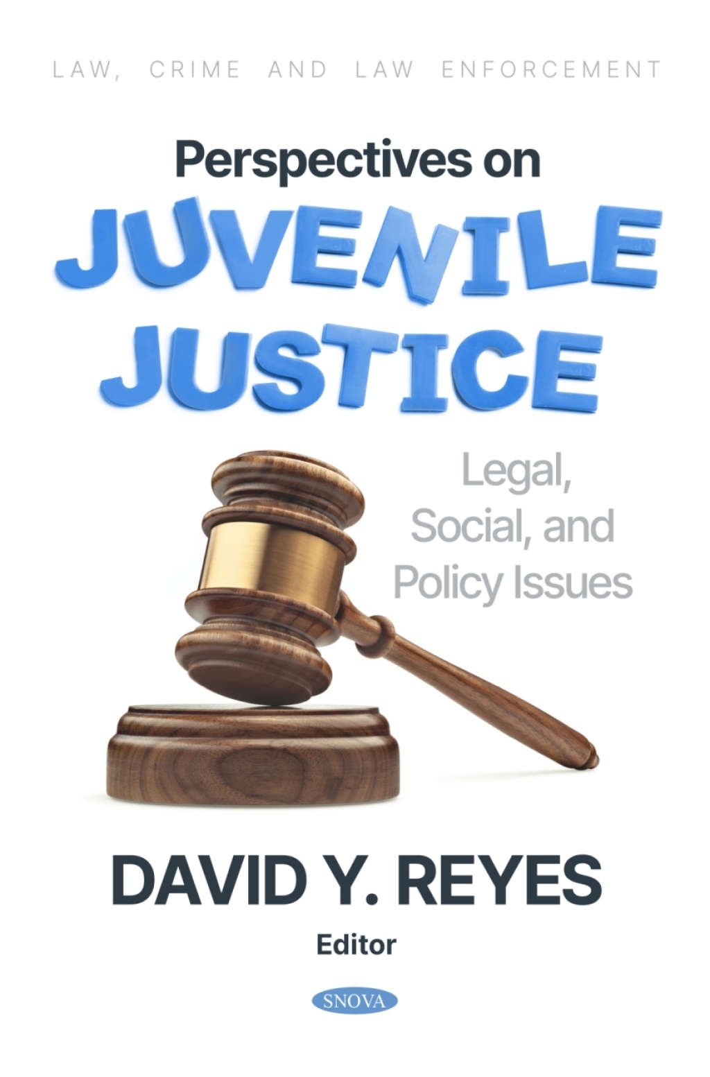 Perspectives on Juvenile Justice: Legal, Social, and Policy Issues  â€“ PDF/EPUB Version Downloadable