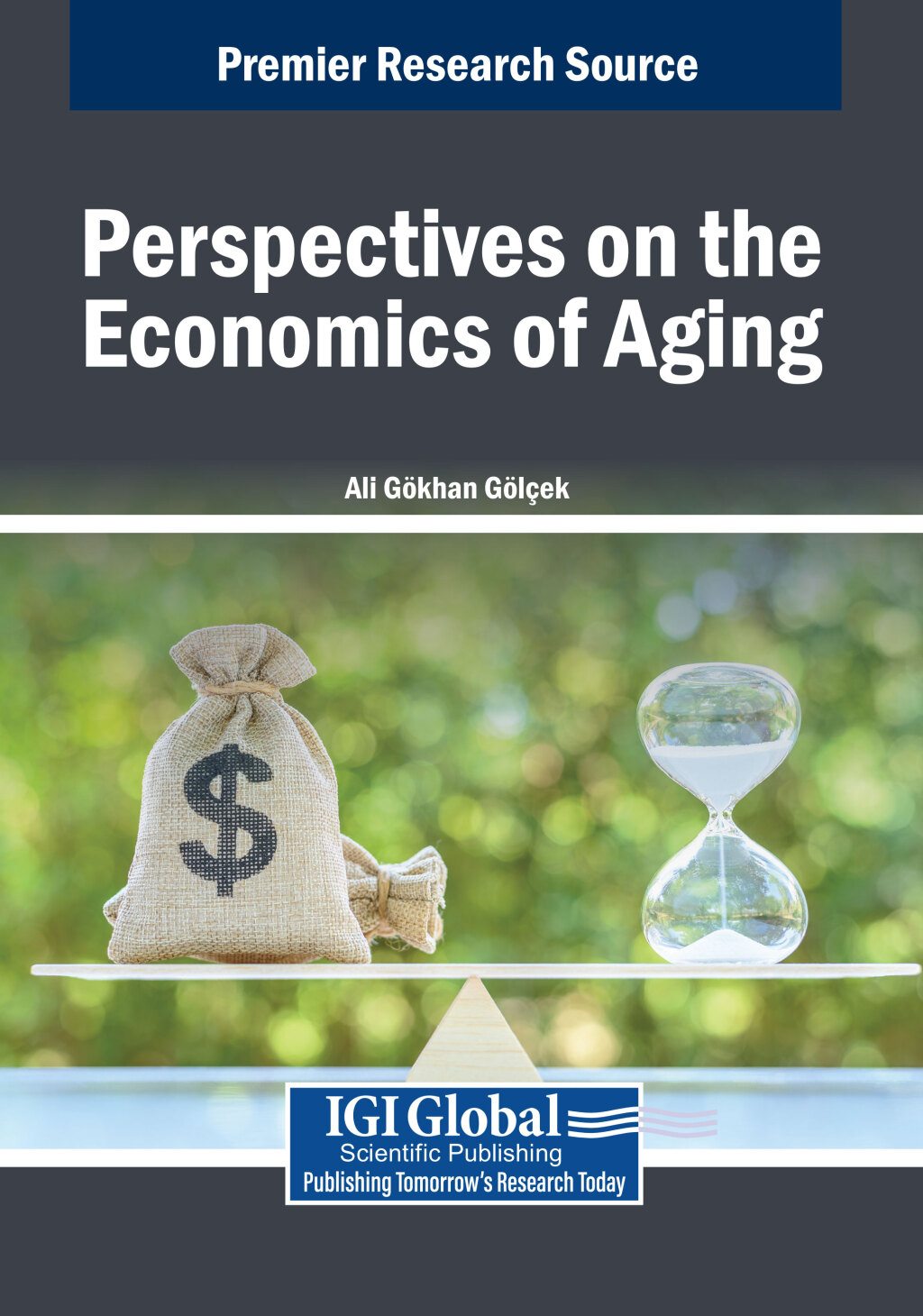Perspectives on the Economics of Aging  â€“ PDF/EPUB Version Downloadable