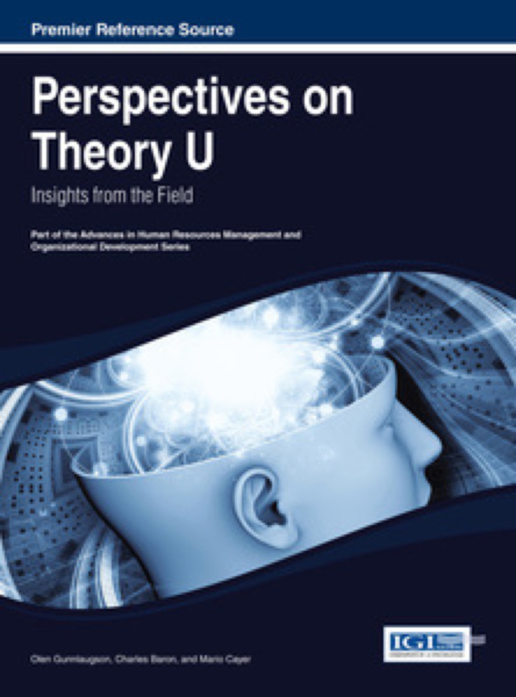 Perspectives on Theory U Insights from the Field  â€“ PDF/EPUB Version Downloadable