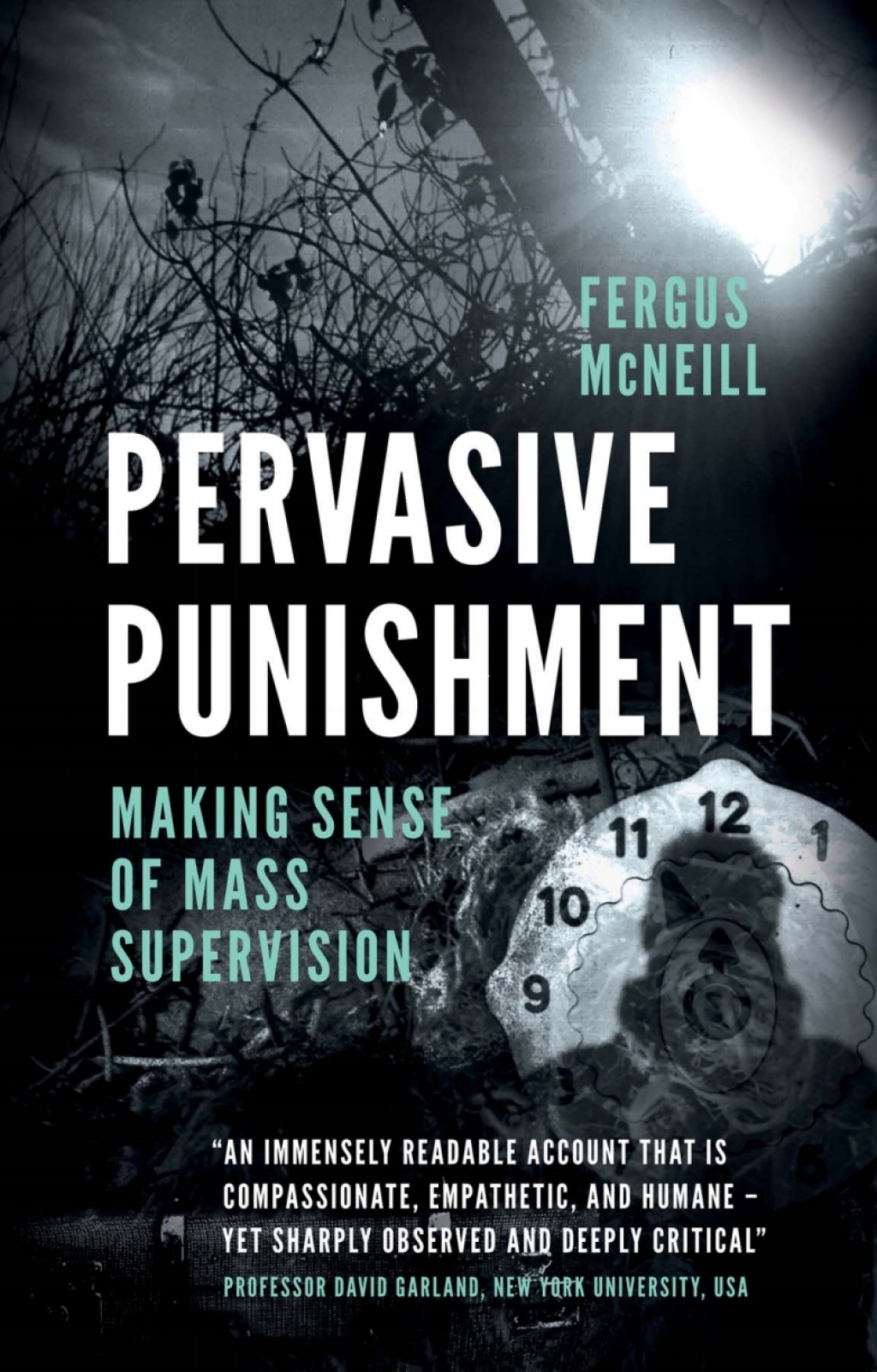Pervasive Punishment Making Sense of Mass Supervision  â€“ PDF/EPUB Version Downloadable
