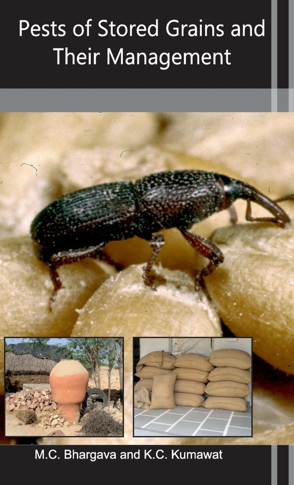 Pests of Stored Grains and Their Management  â€“ PDF/EPUB Version Downloadable