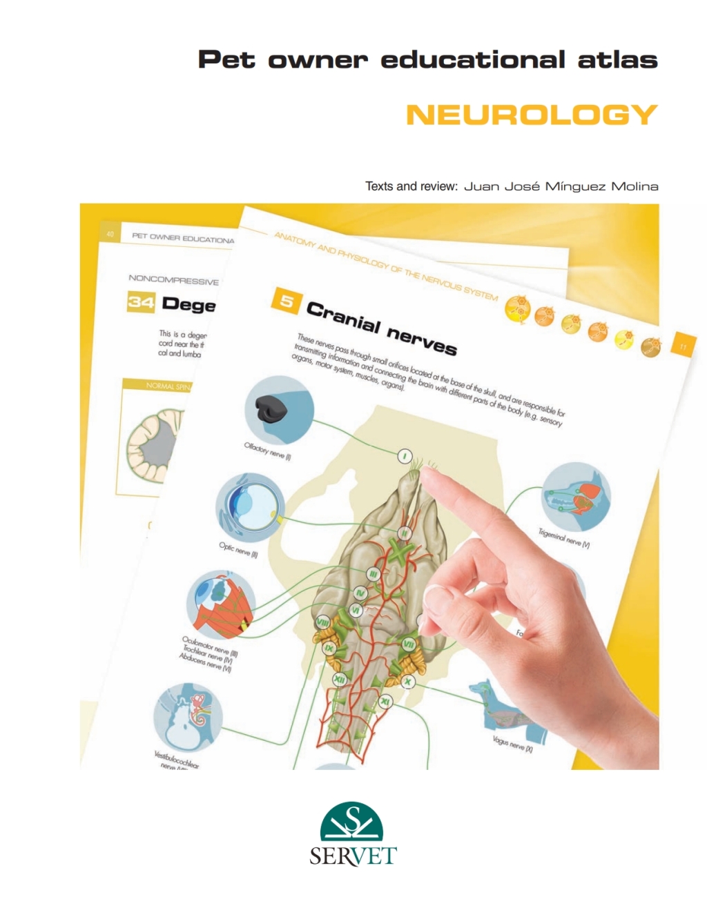 Pet Owner Educational Atlas. Neurology 1st Edition â€“ PDF/EPUB Version Downloadable