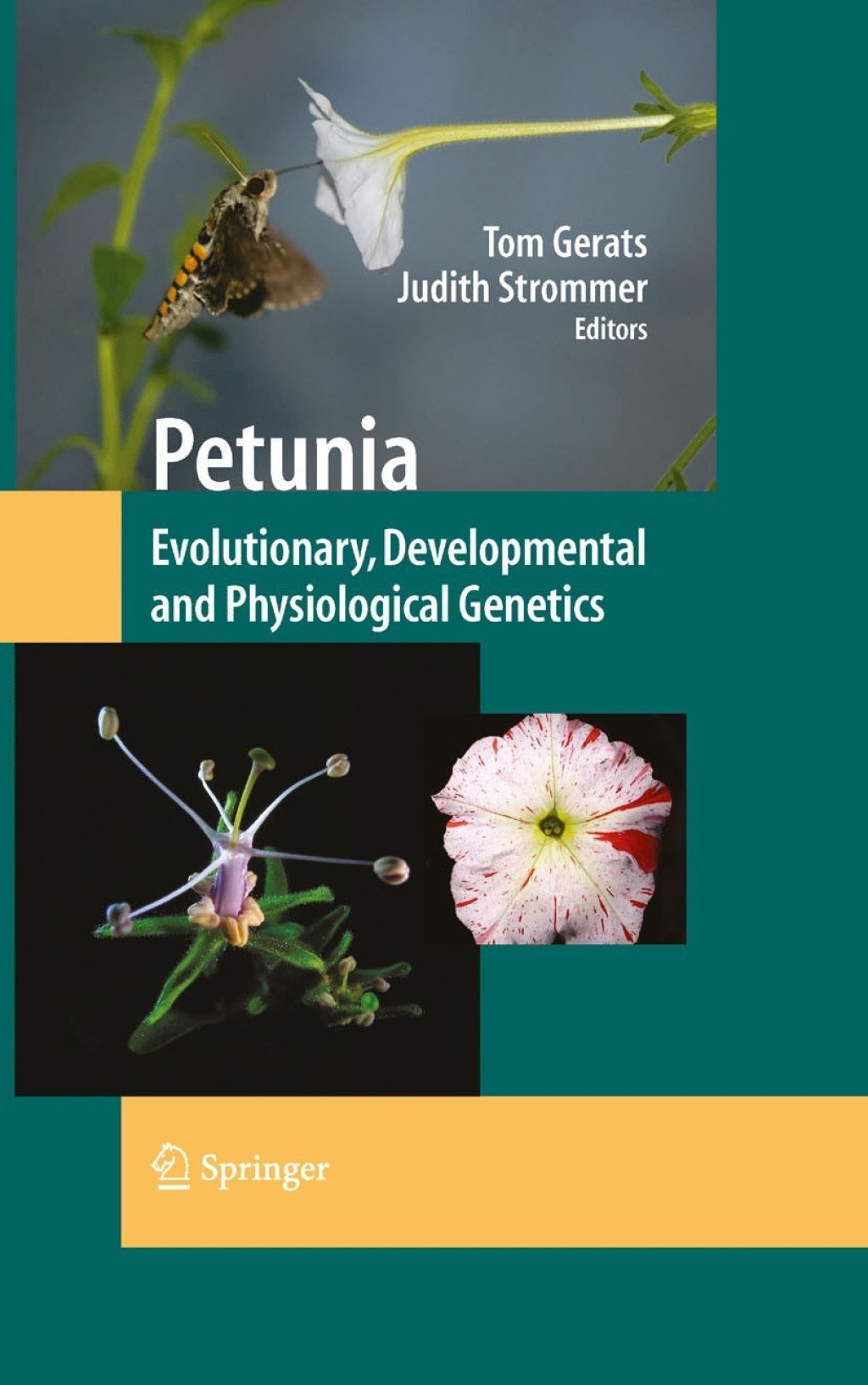 Petunia Evolutionary, Developmental and Physiological Genetics 2nd Edition â€“ PDF/EPUB Version Downloadable