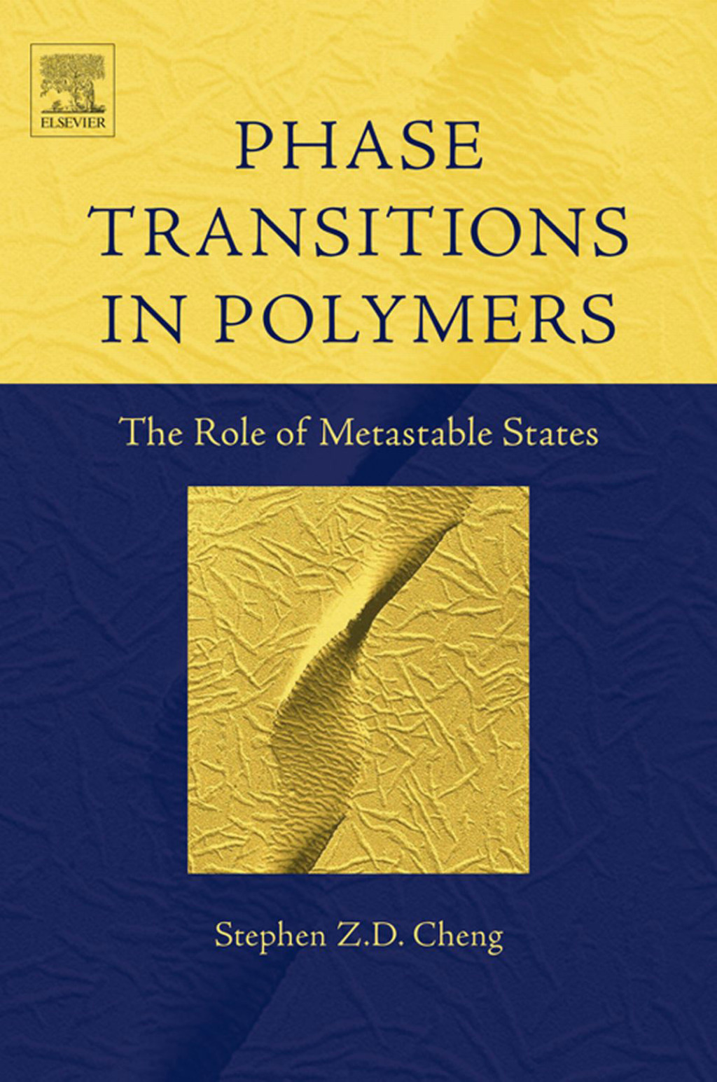 Phase Transitions in Polymers: The Role of Metastable States  â€“ PDF/EPUB Version Downloadable
