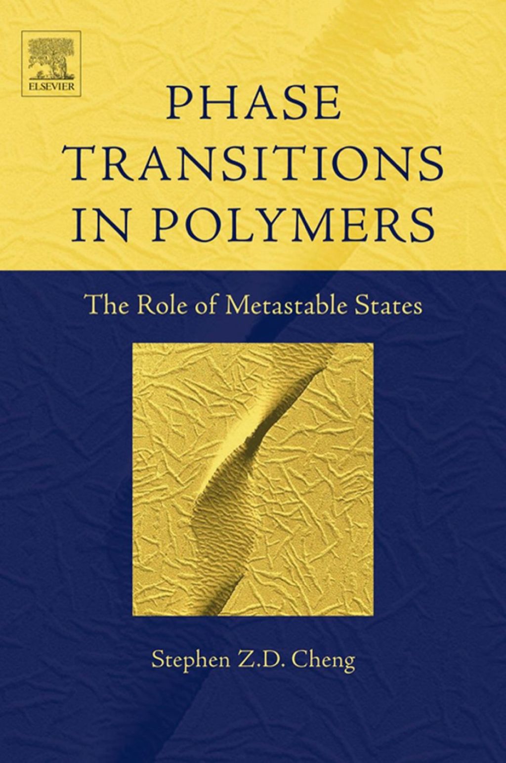 Phase Transitions in Polymers: The Role of Metastable States: The Role of Metastable States  â€“ PDF/EPUB Version Downloadable