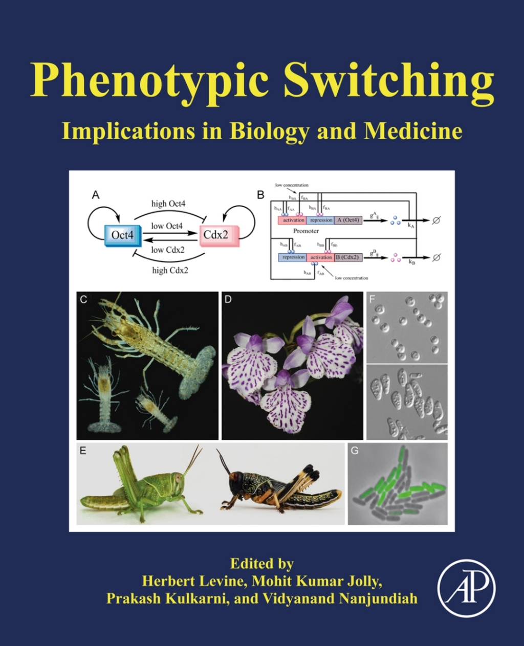 Phenotypic Switching Implications in Biology and Medicine 1st Edition â€“ PDF/EPUB Version Downloadable