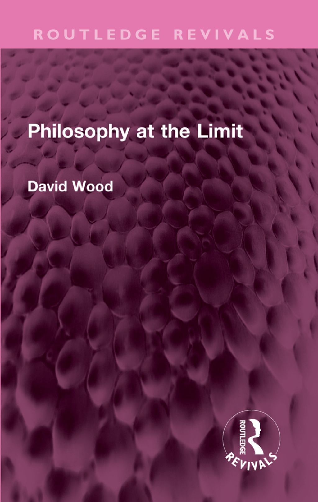 Philosophy at the Limit 1st Edition â€“ PDF/EPUB Version Downloadable