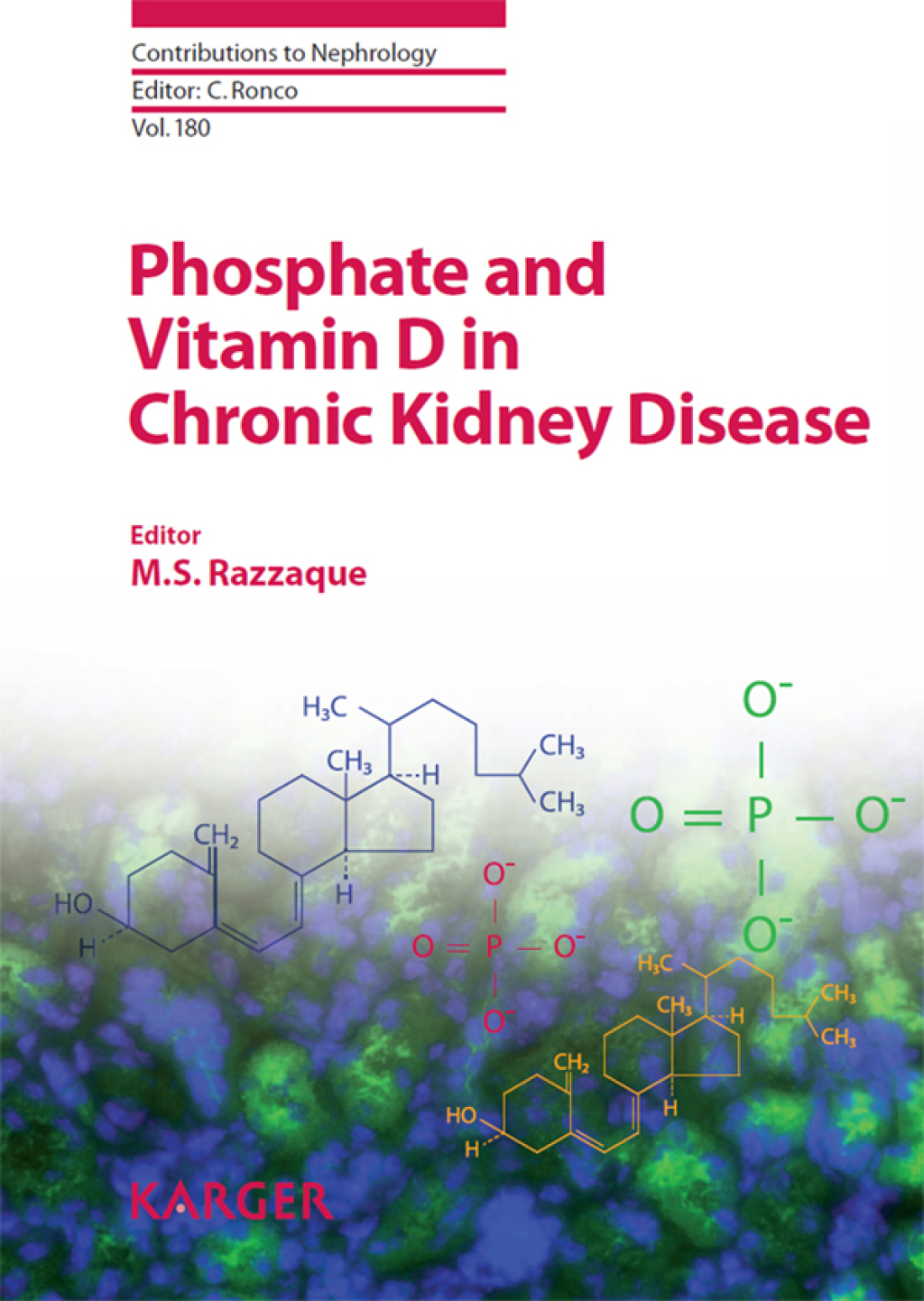 Phosphate and Vitamin D in Chronic Kidney Disease 1st Edition â€“ PDF/EPUB Version Downloadable