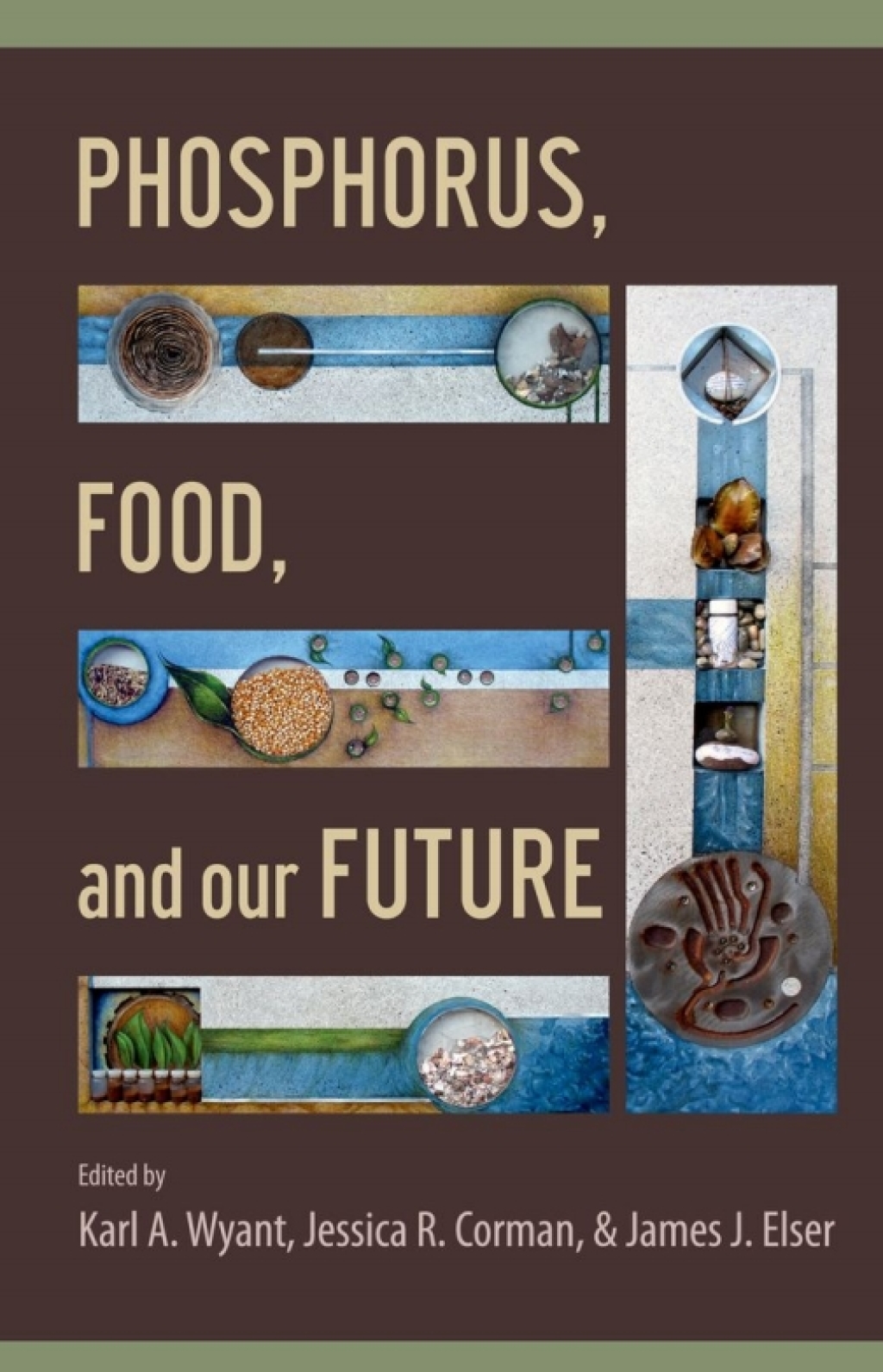 Phosphorus, Food, and Our Future 1st Edition â€“ PDF/EPUB Version Downloadable