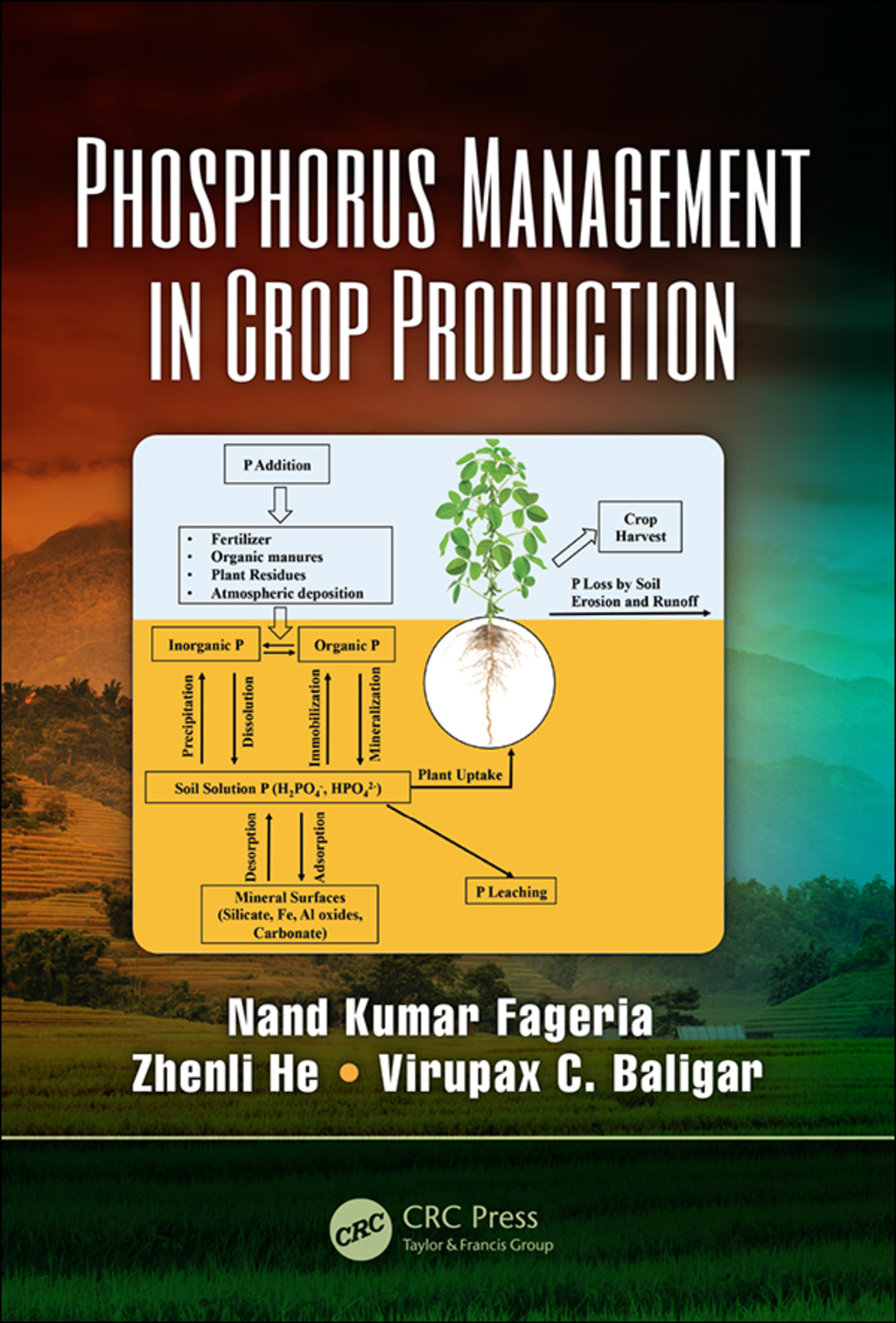 Phosphorus Management in Crop Production 1st Edition â€“ PDF/EPUB Version Downloadable