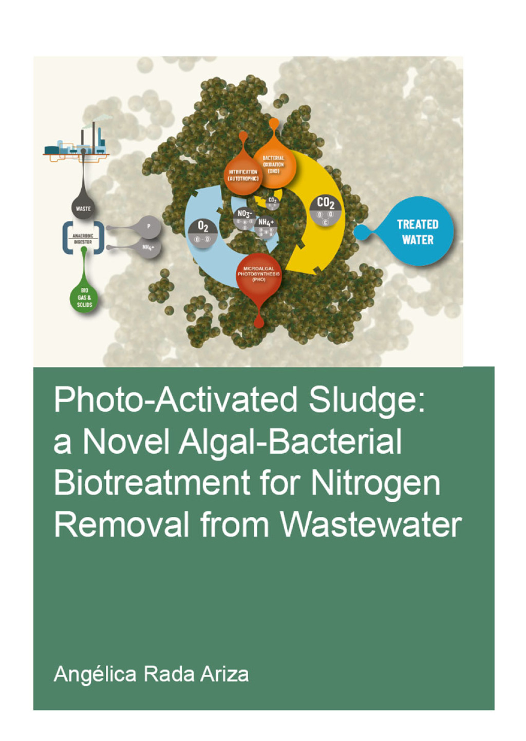 Photo-Activated Sludge: A Novel Algal-Bacterial Biotreatment for Nitrogen Removal from Wastewater 1st Edition â€“ PDF/EPUB Version Downloadable